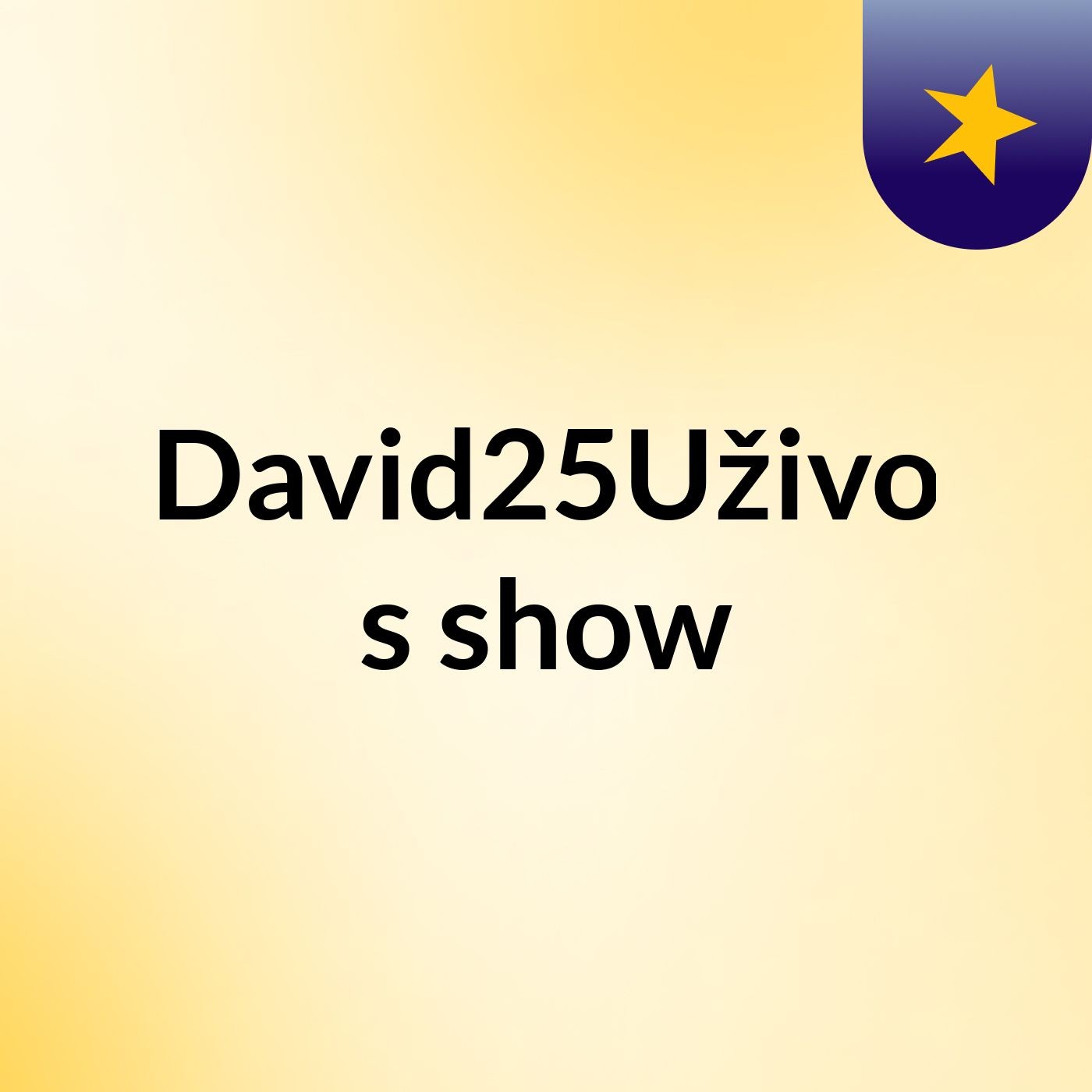 David25Uživo's show cover art