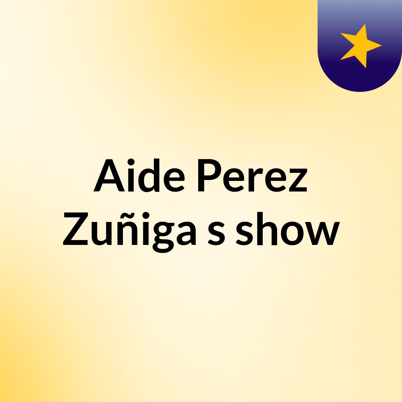 Aide Perez Zuñiga's show