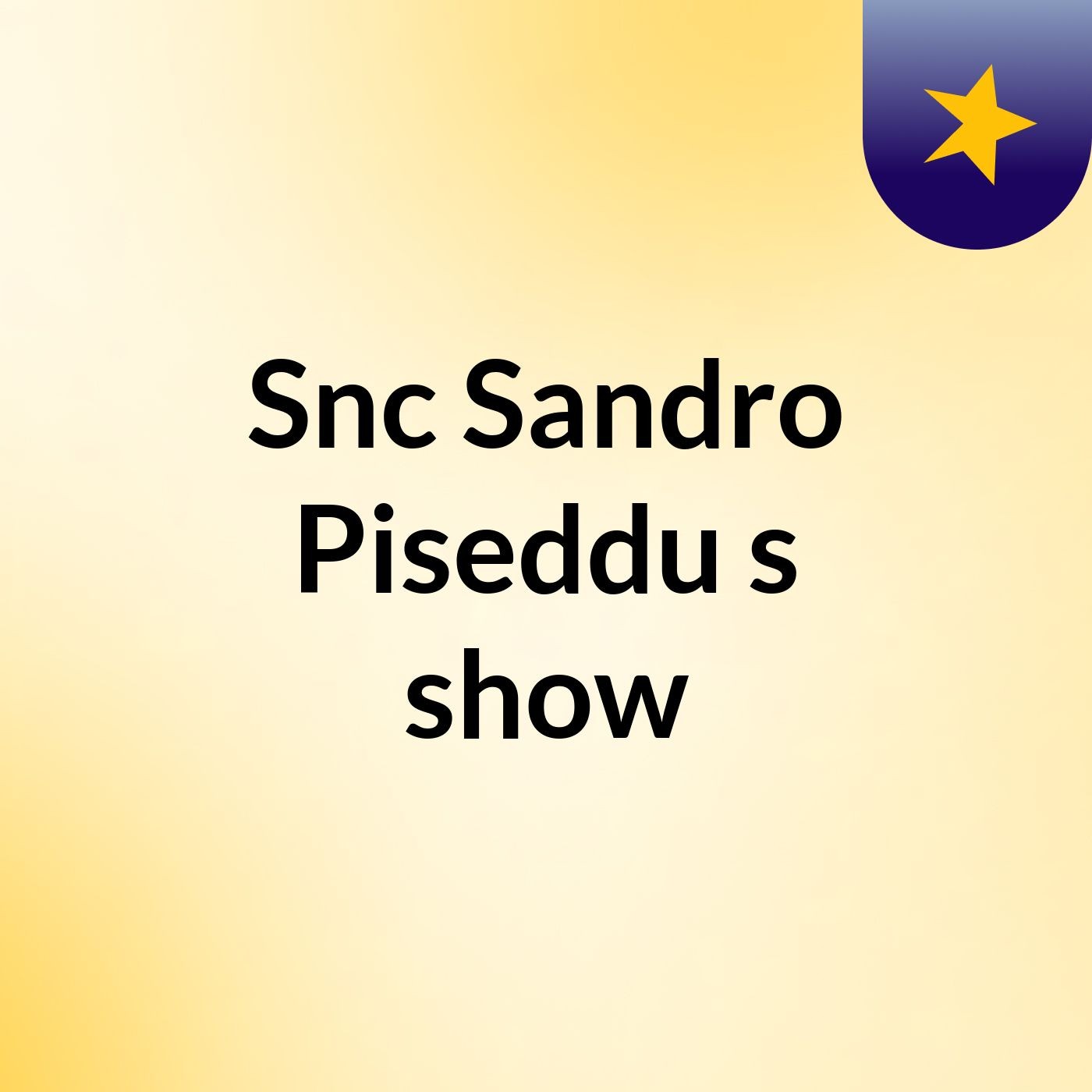 Snc Sandro Piseddu's show