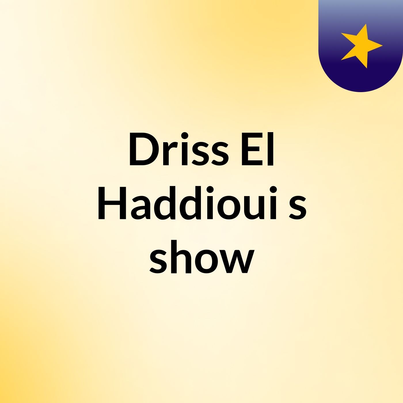 Driss El Haddioui's show