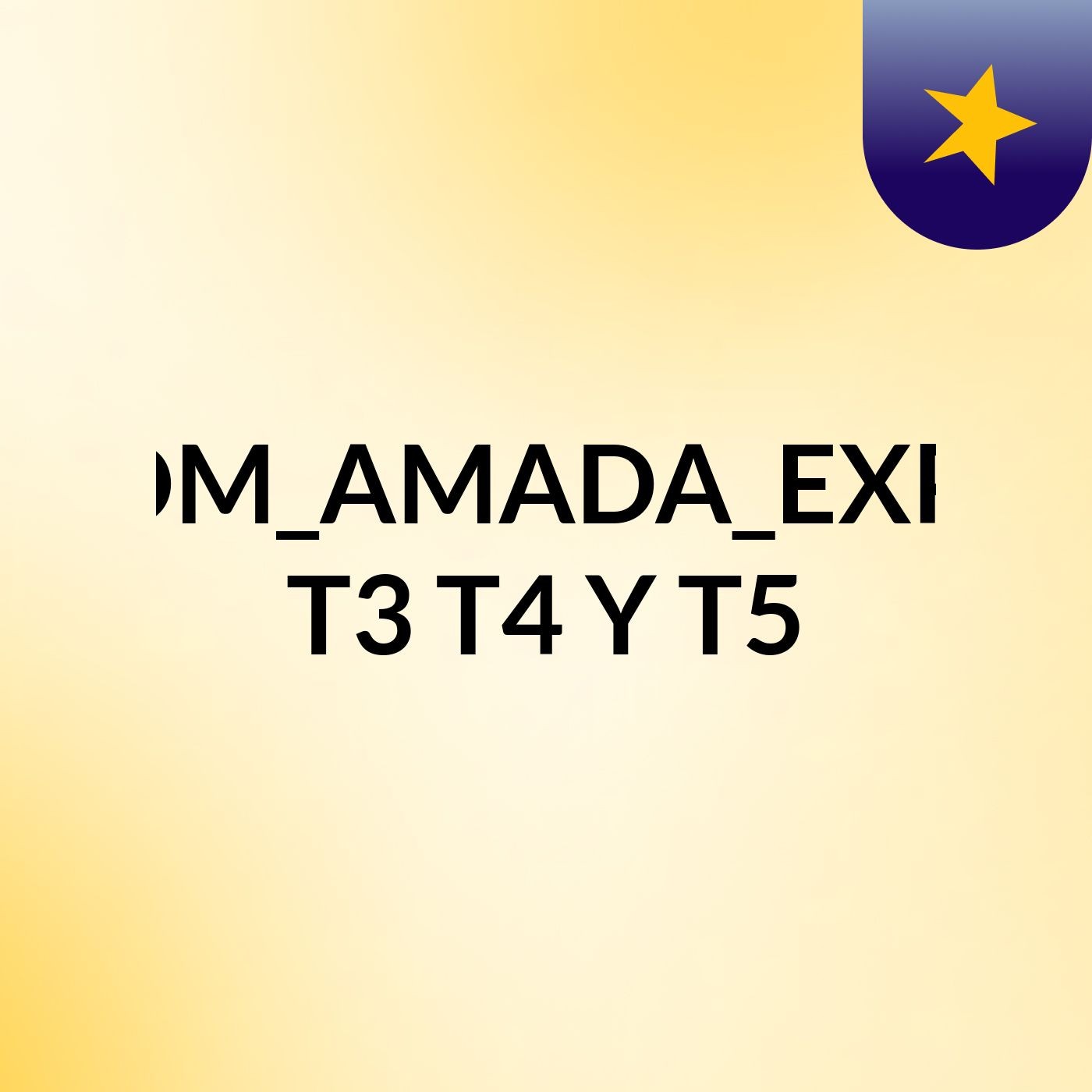 ADM_1B_COM_AMADA_EXPOSICIONES T3,T4 Y T5