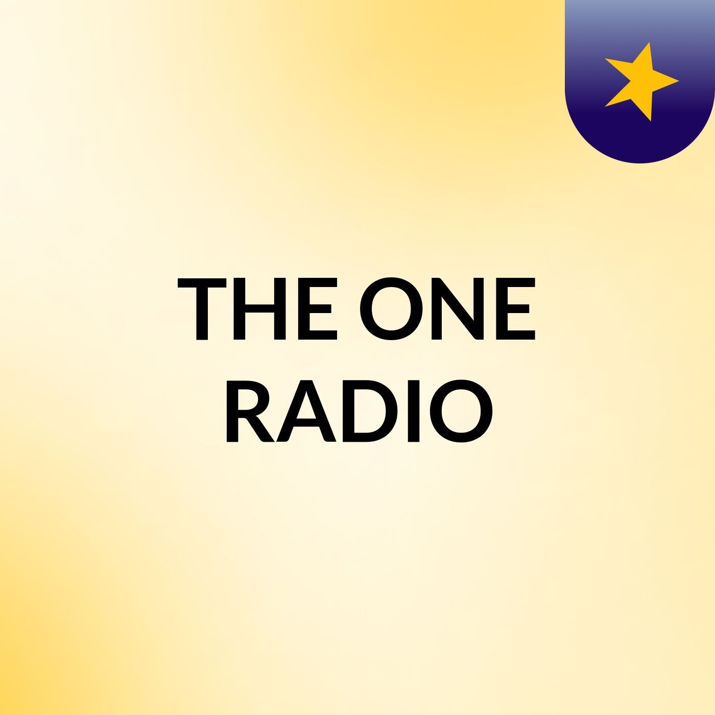THE ONE RADIO