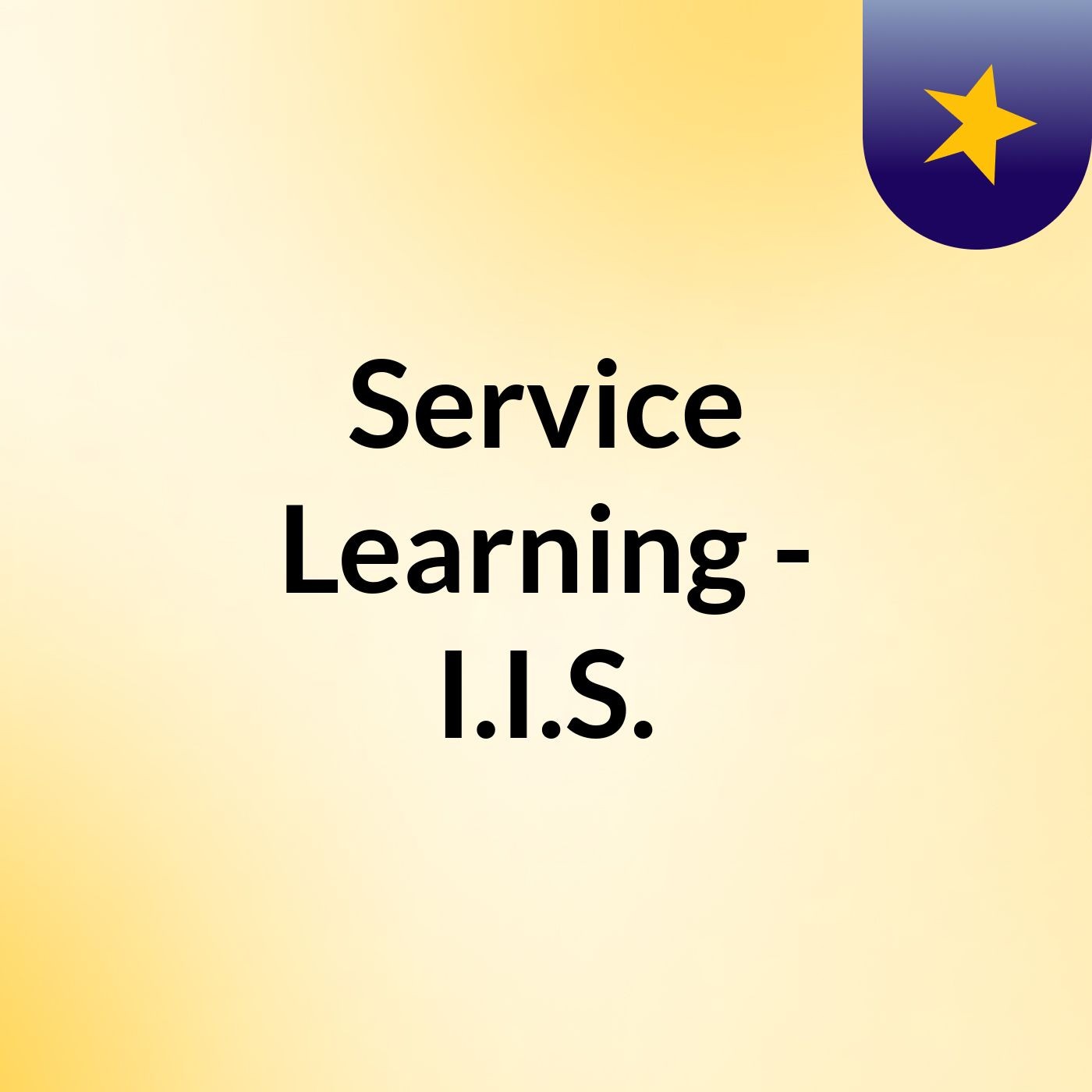 Service Learning - I.I.S.