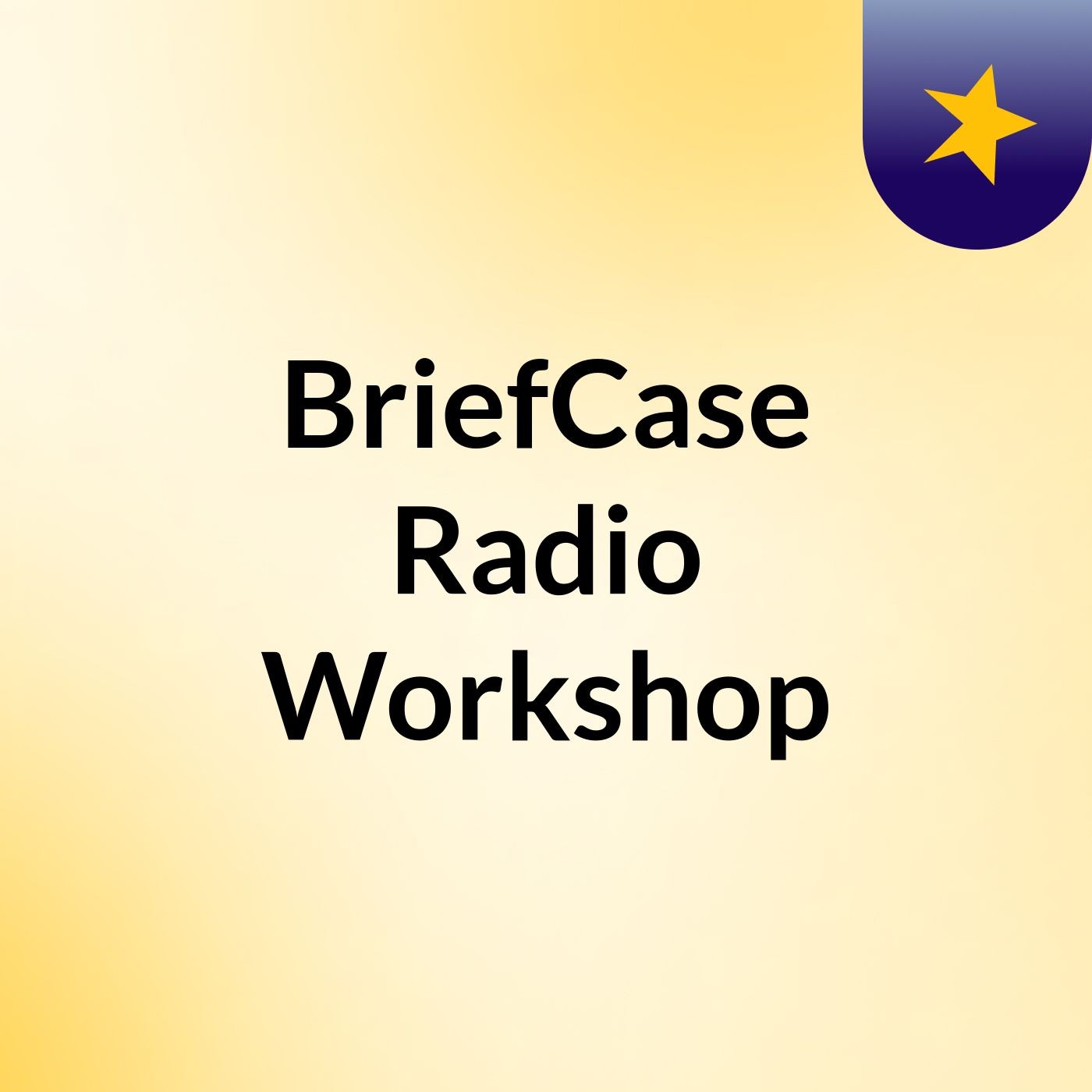 BriefCase Radio Workshop