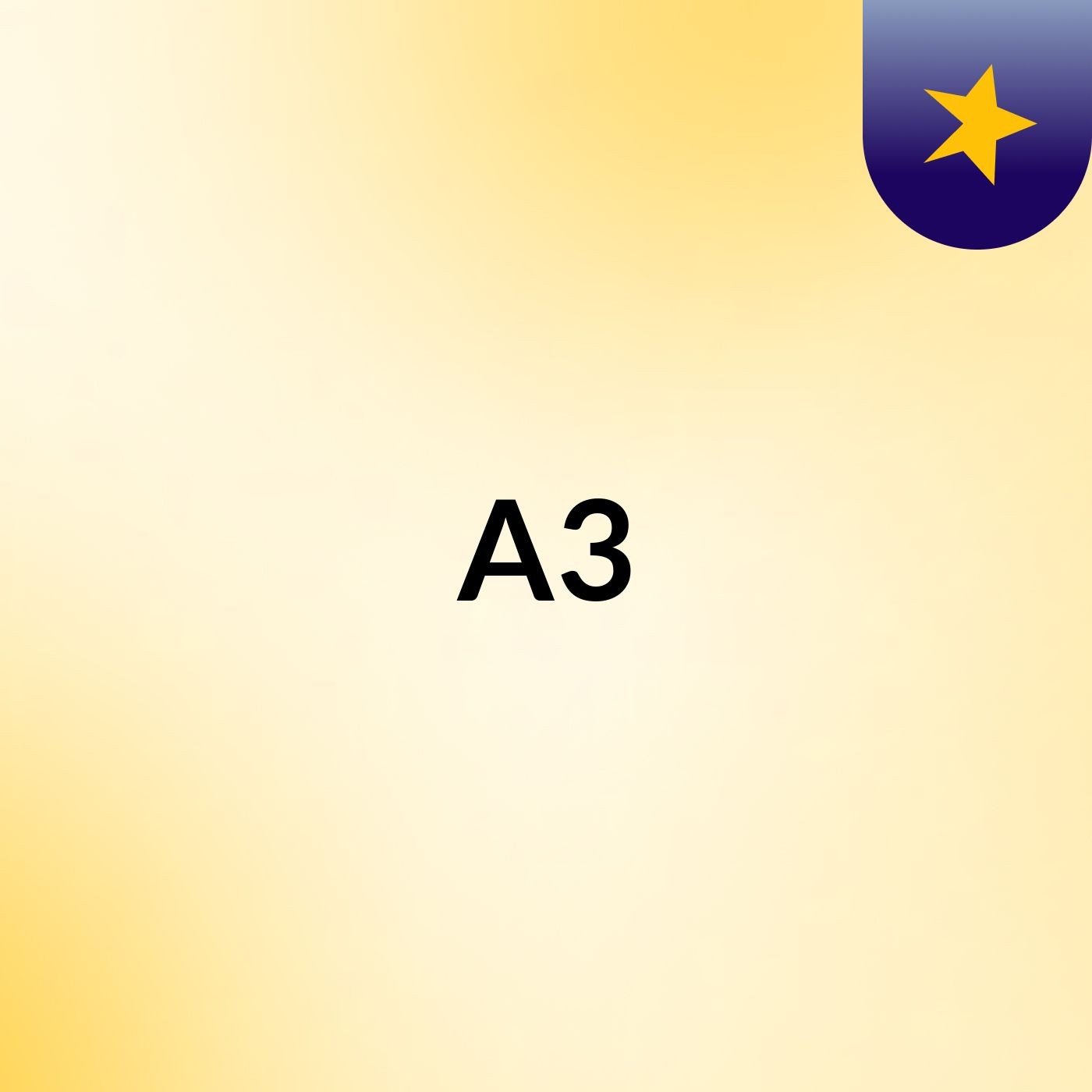 A3