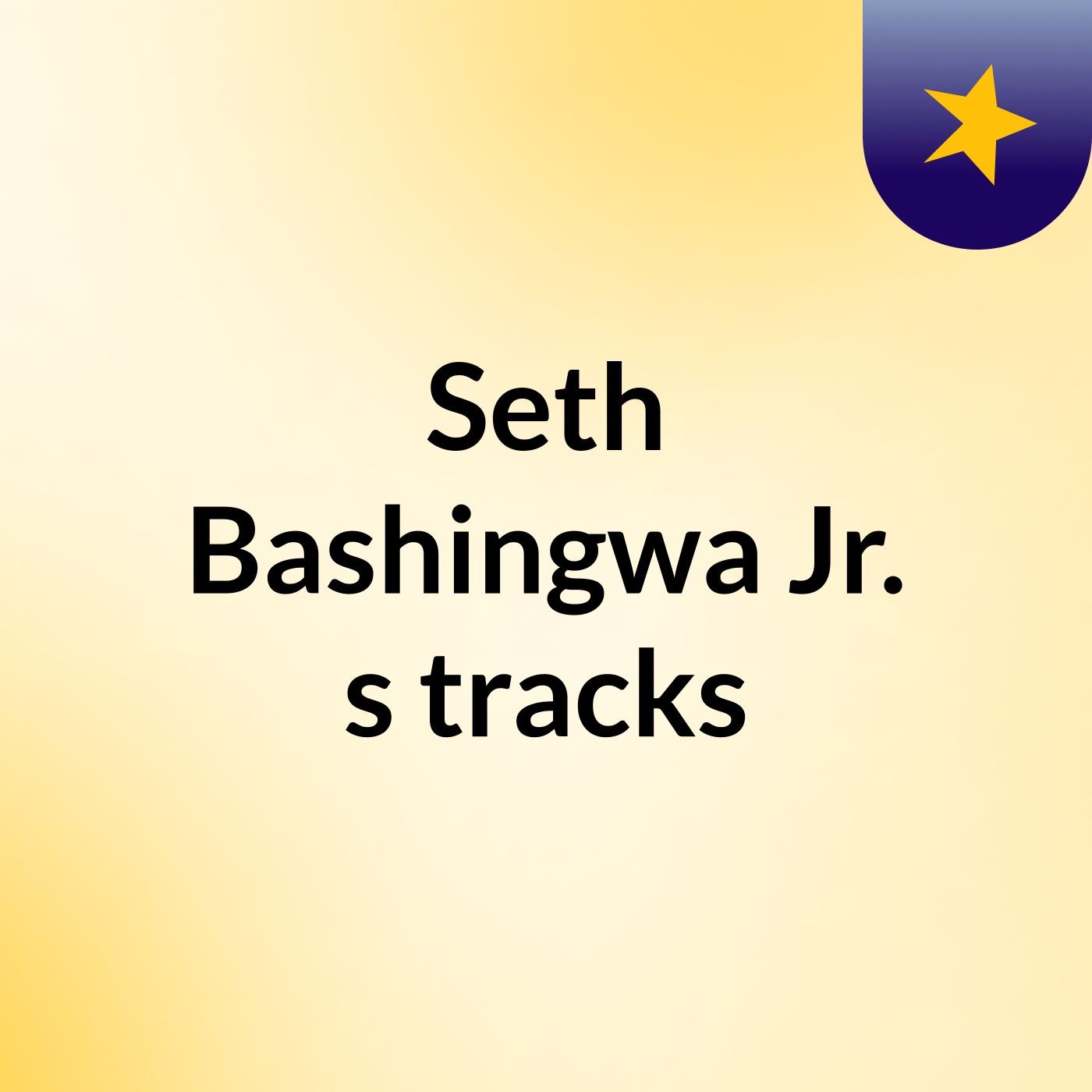 Seth Bashingwa Jr.'s tracks