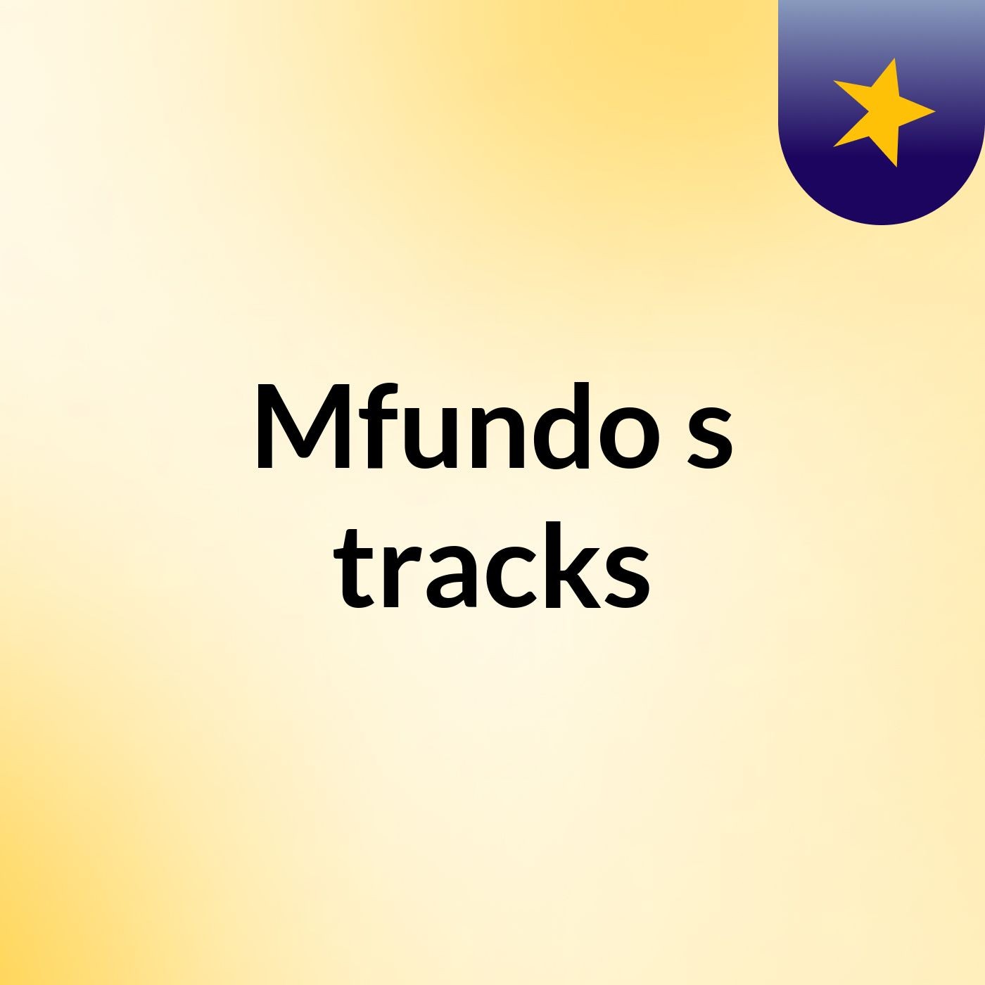 Mfundo's tracks