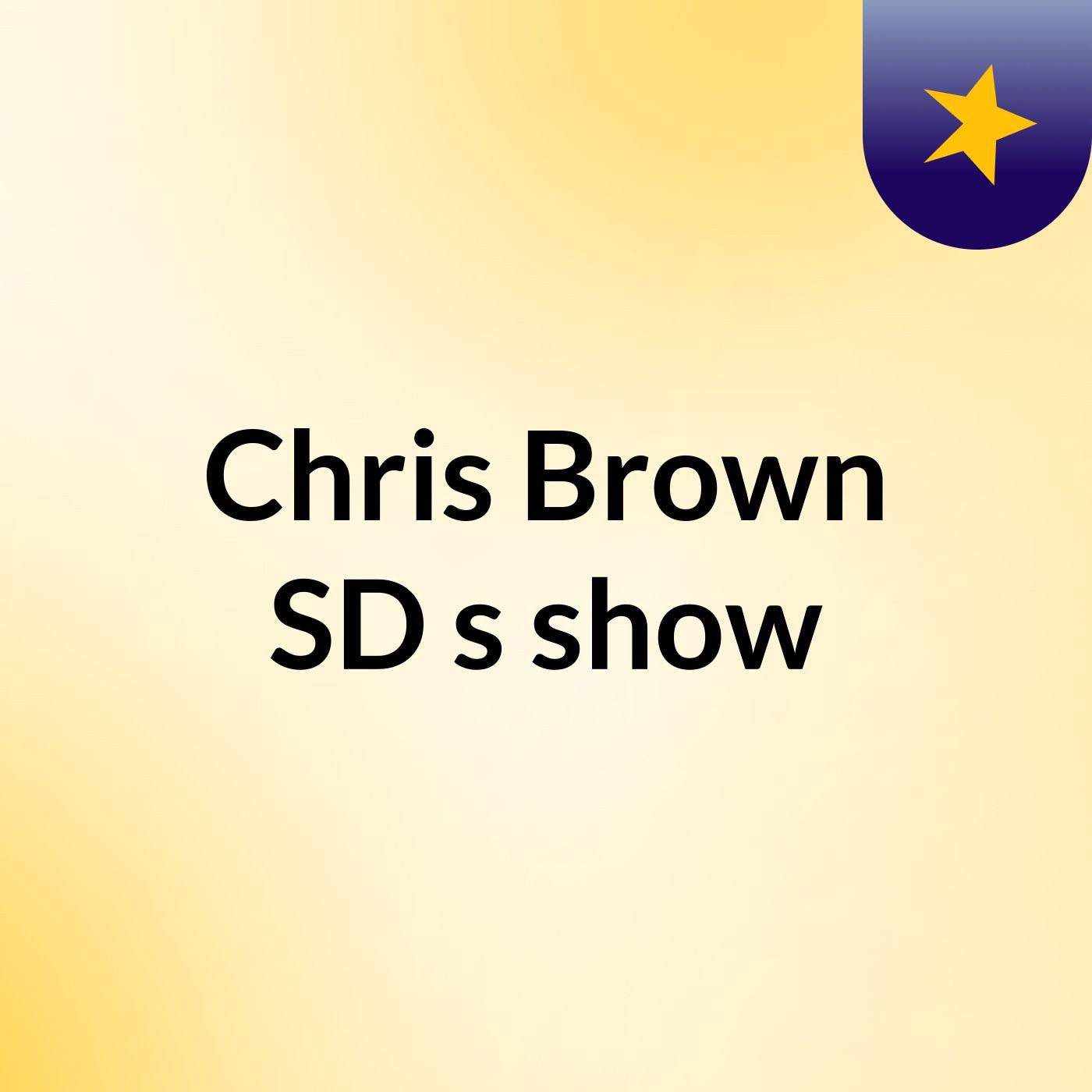 Chris Brown SD's show