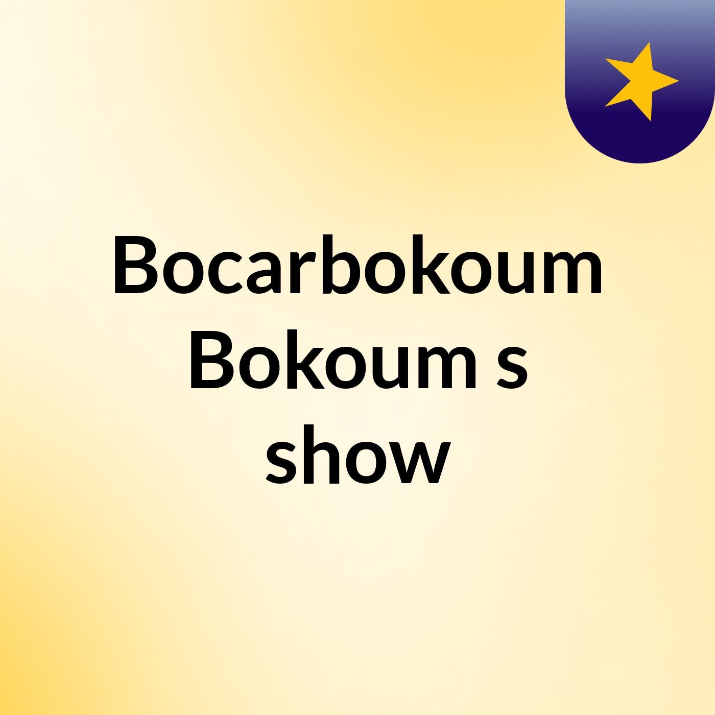 Bocarbokoum Bokoum's show