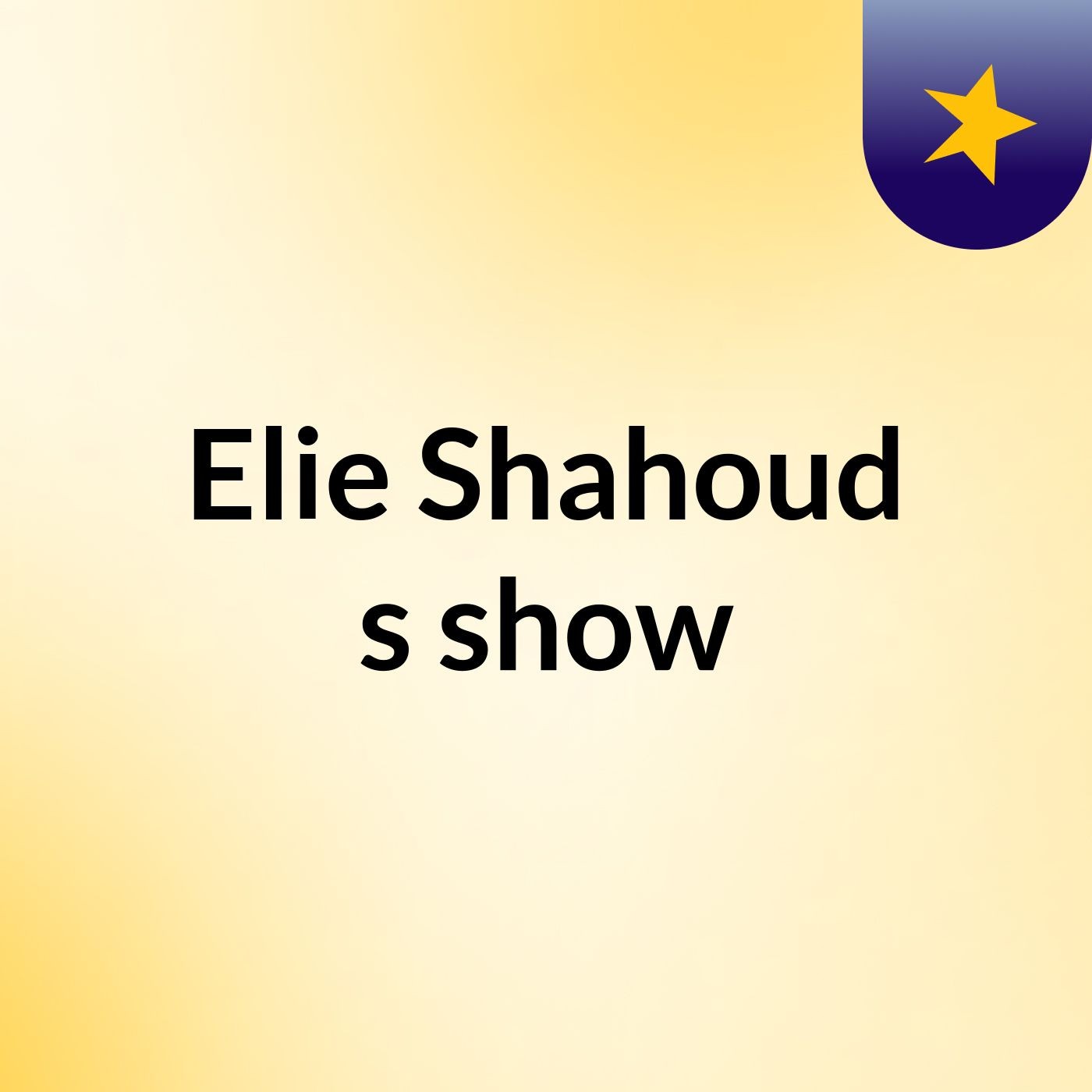 Elie Shahoud's show