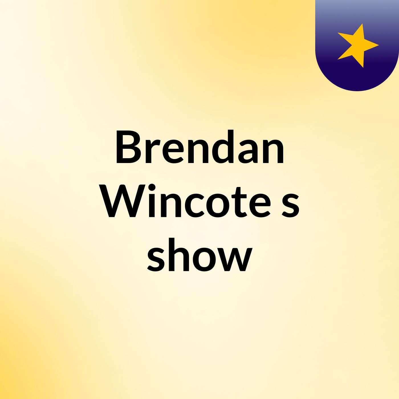 Brendan Wincote's show