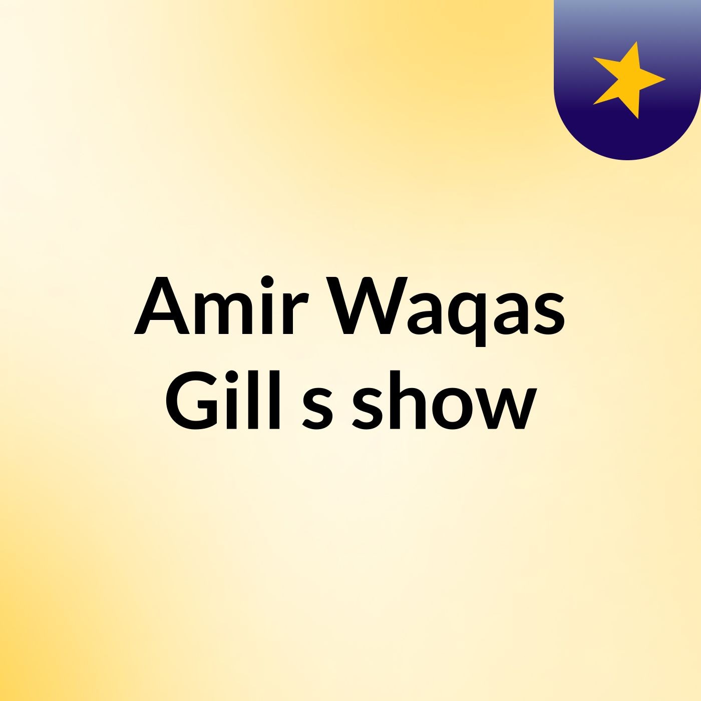 Amir Waqas Gill's show