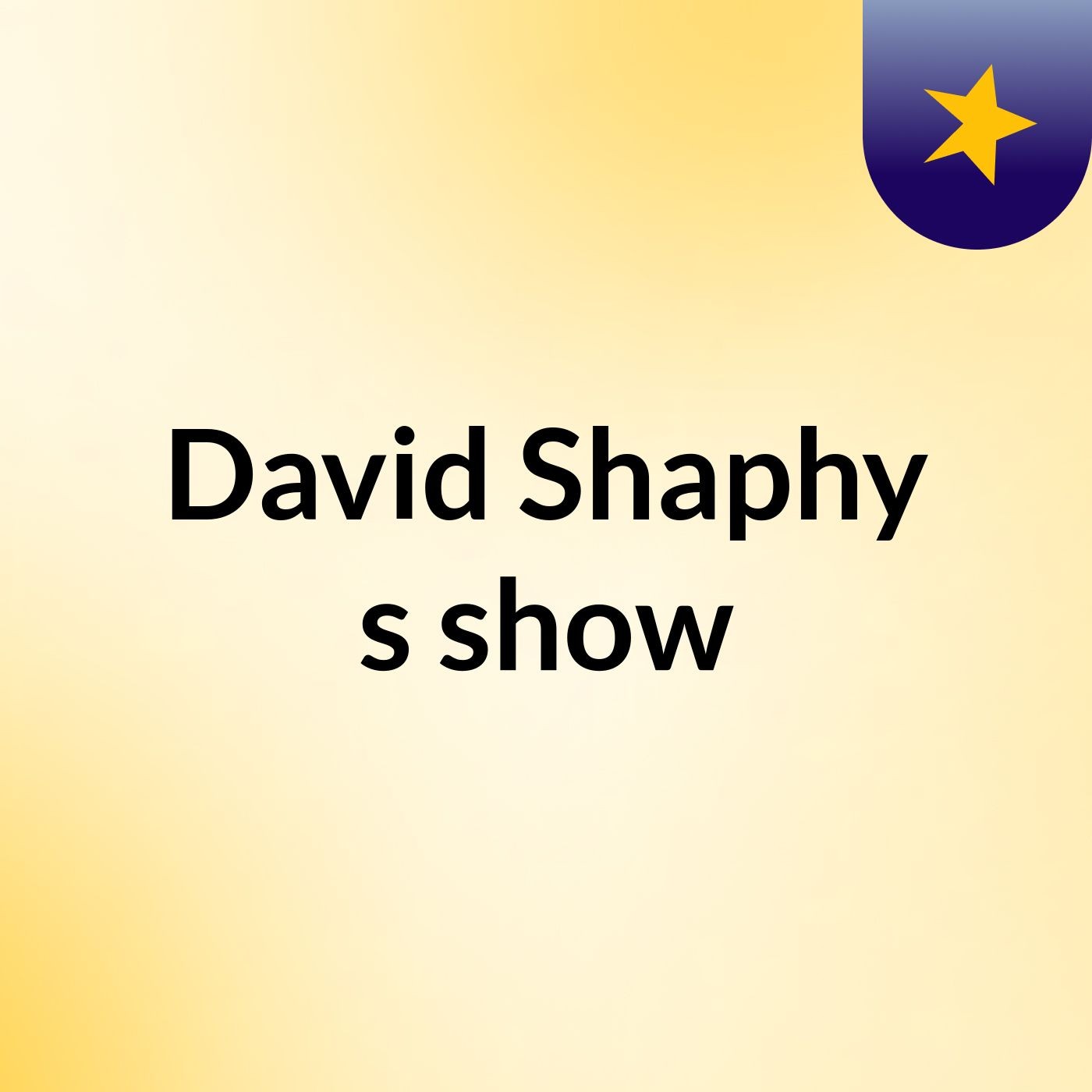 David Shaphy's show