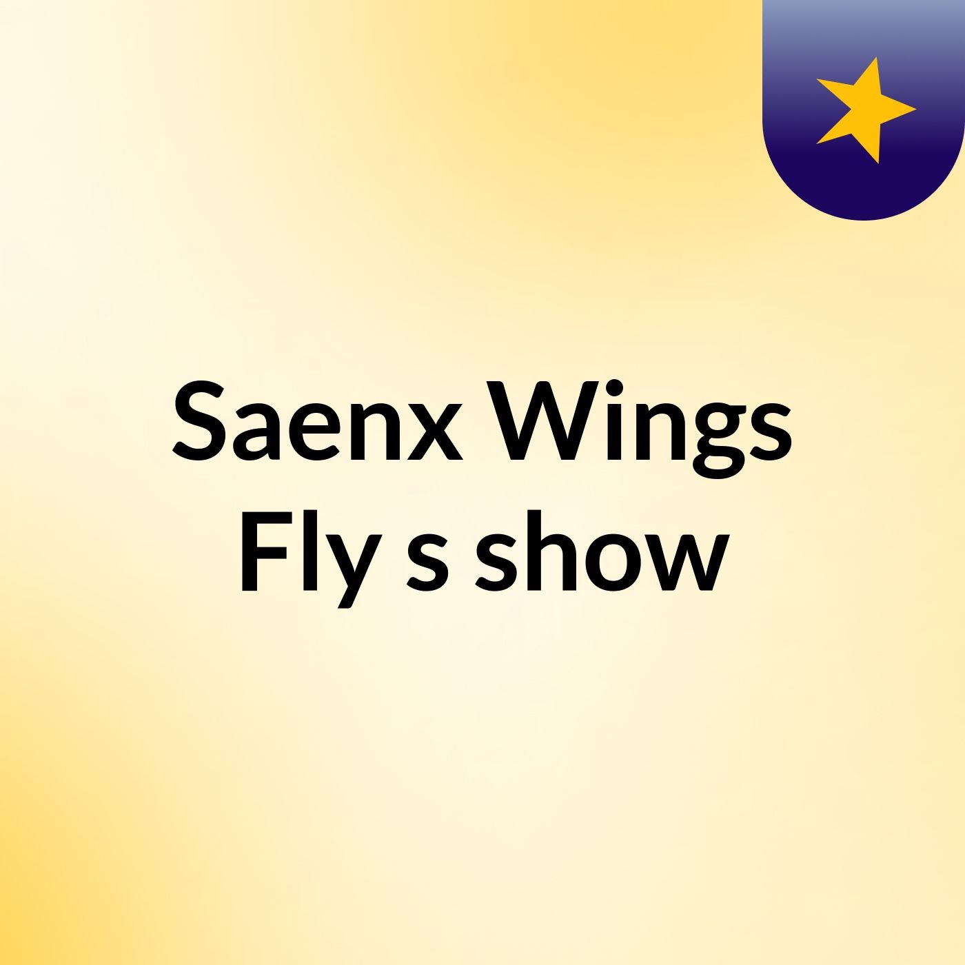 Saenx Wings Fly's show