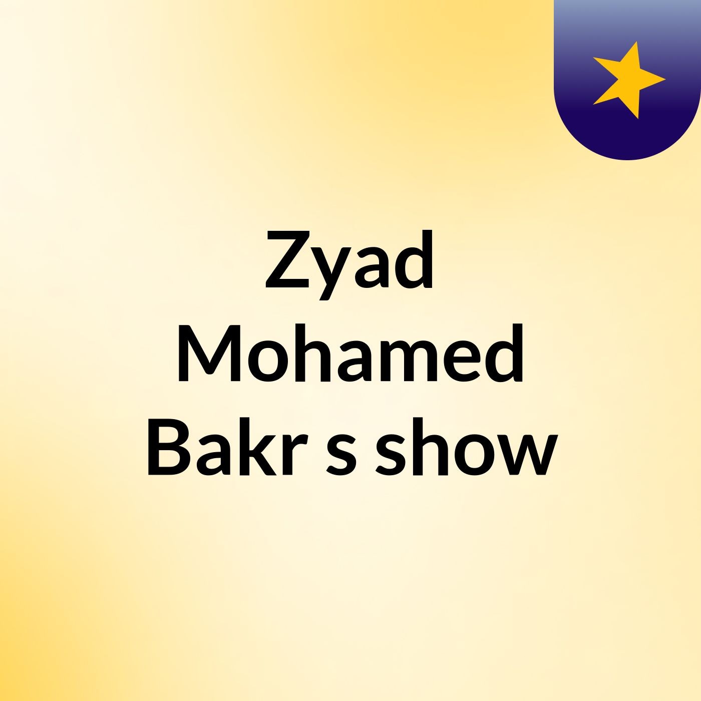 Zyad Mohamed Bakr's show