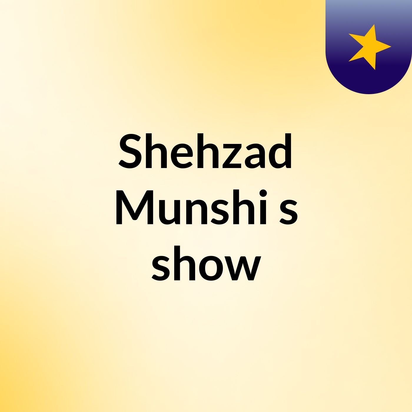 Shehzad Munshi's show