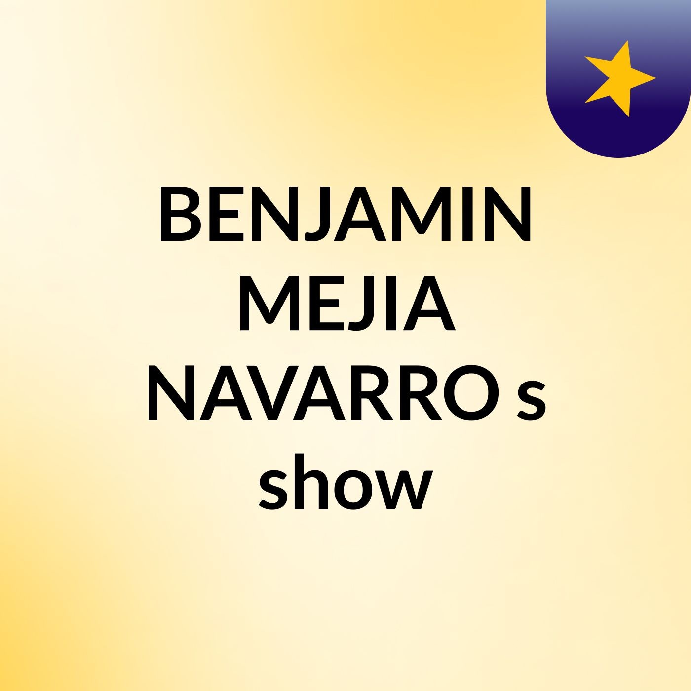 BENJAMIN MEJIA NAVARRO's show