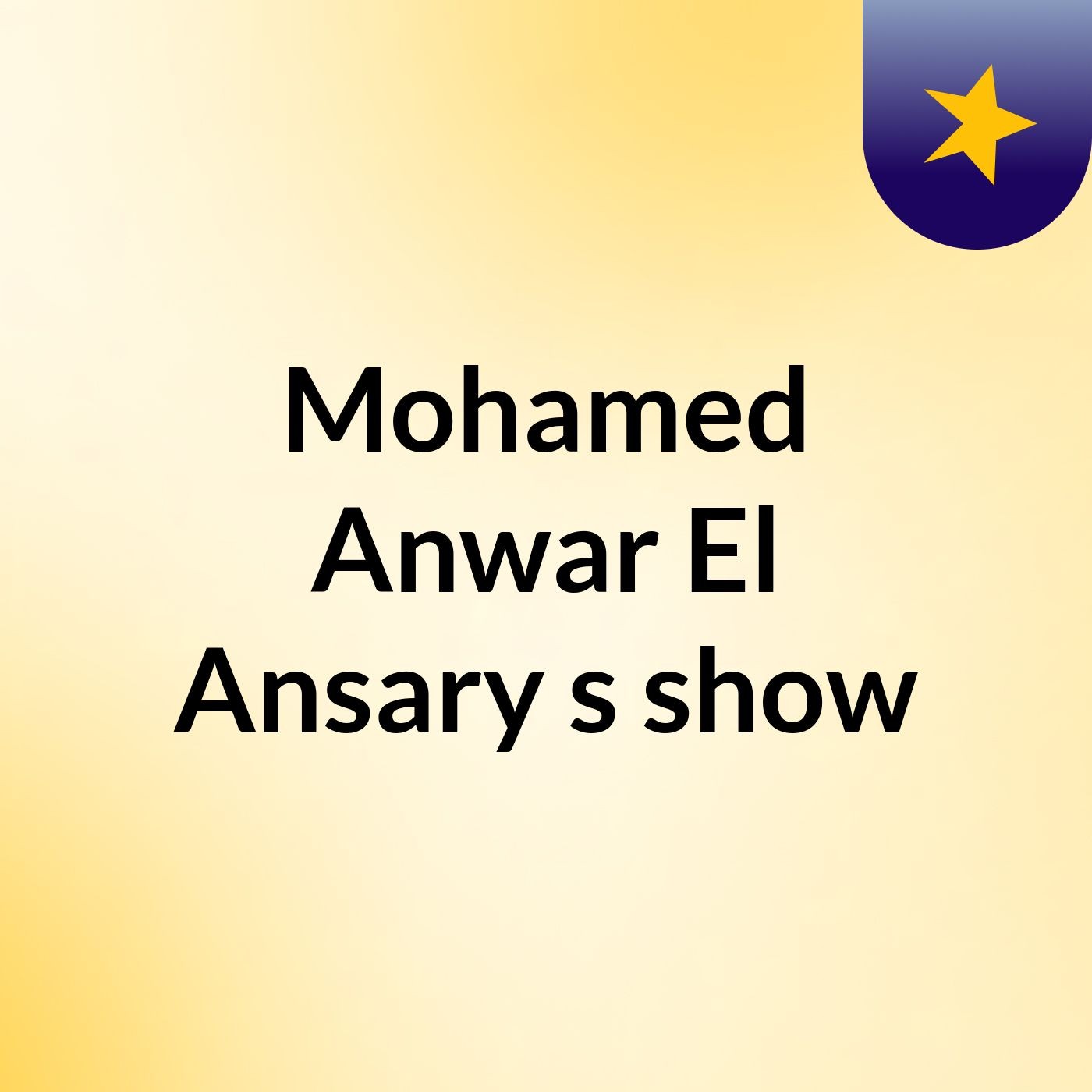 Mohamed Anwar El Ansary's show