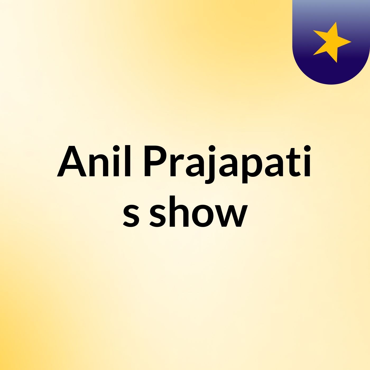 Anil Prajapati's show