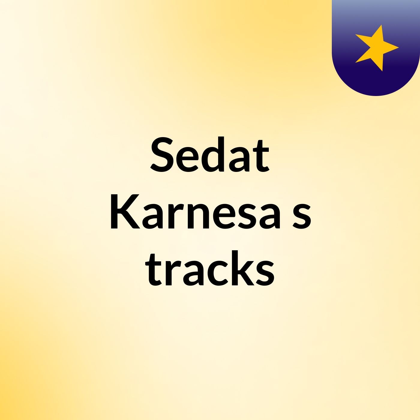 Sedat Karnesa\'s tracks