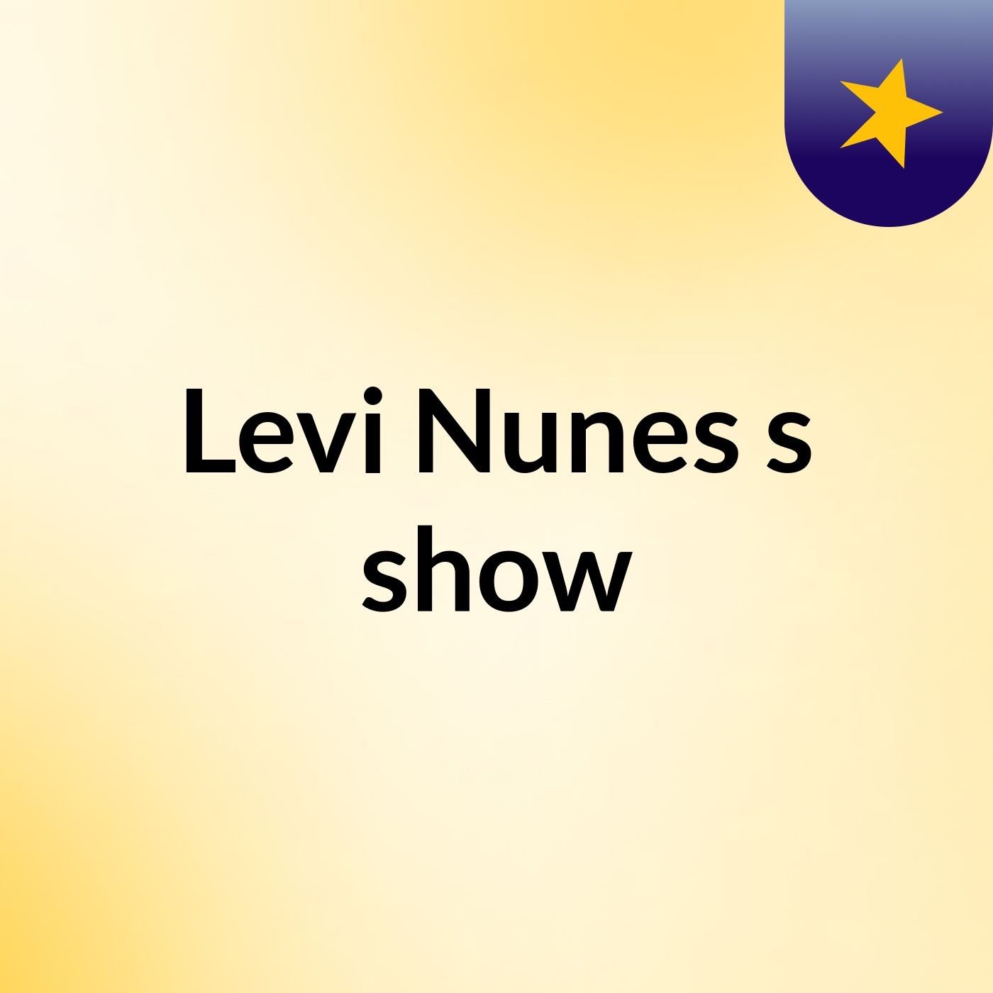 Levi Nunes's show
