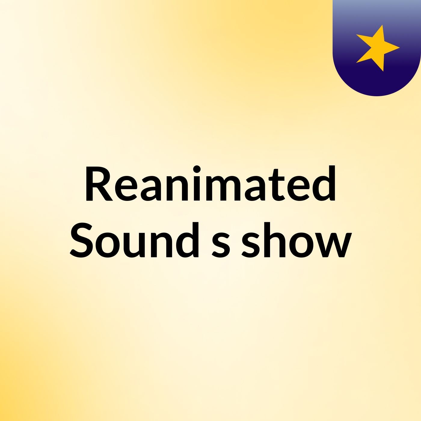 Reanimated Sound's show