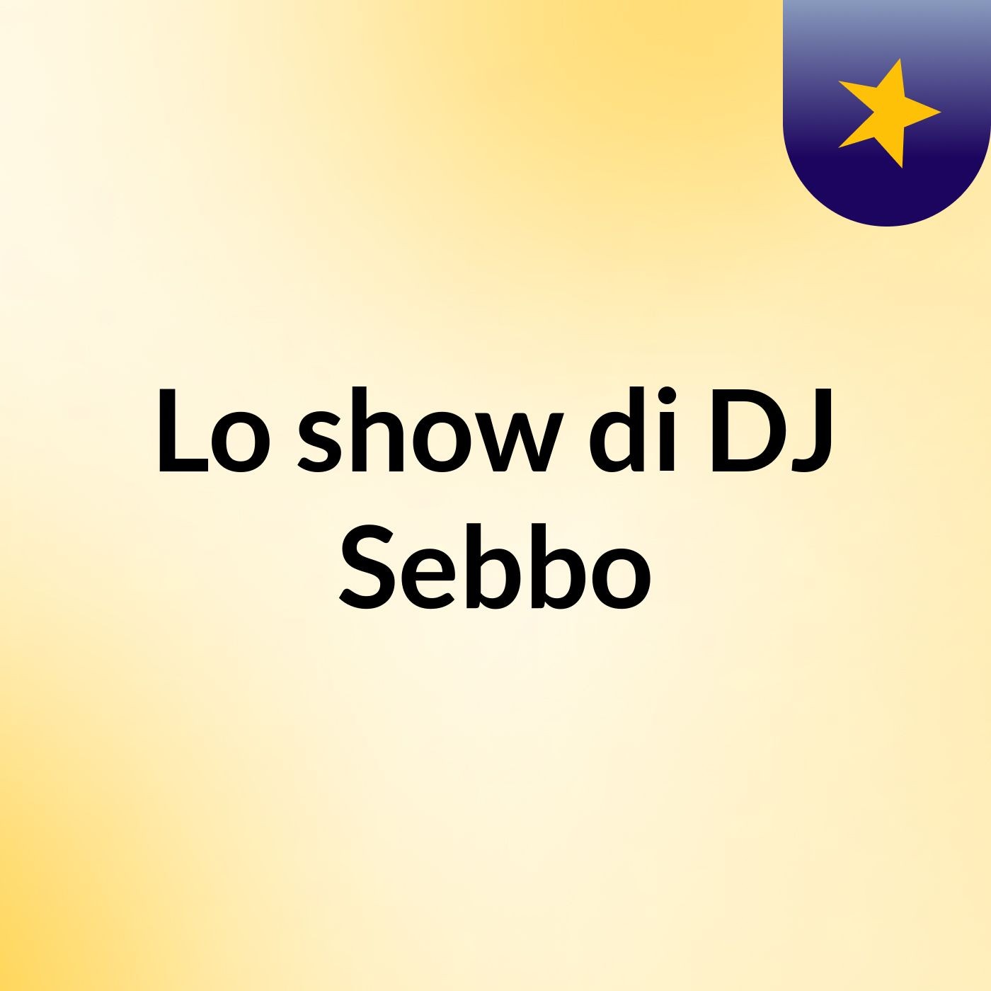 Lo show di DJ Sebbo