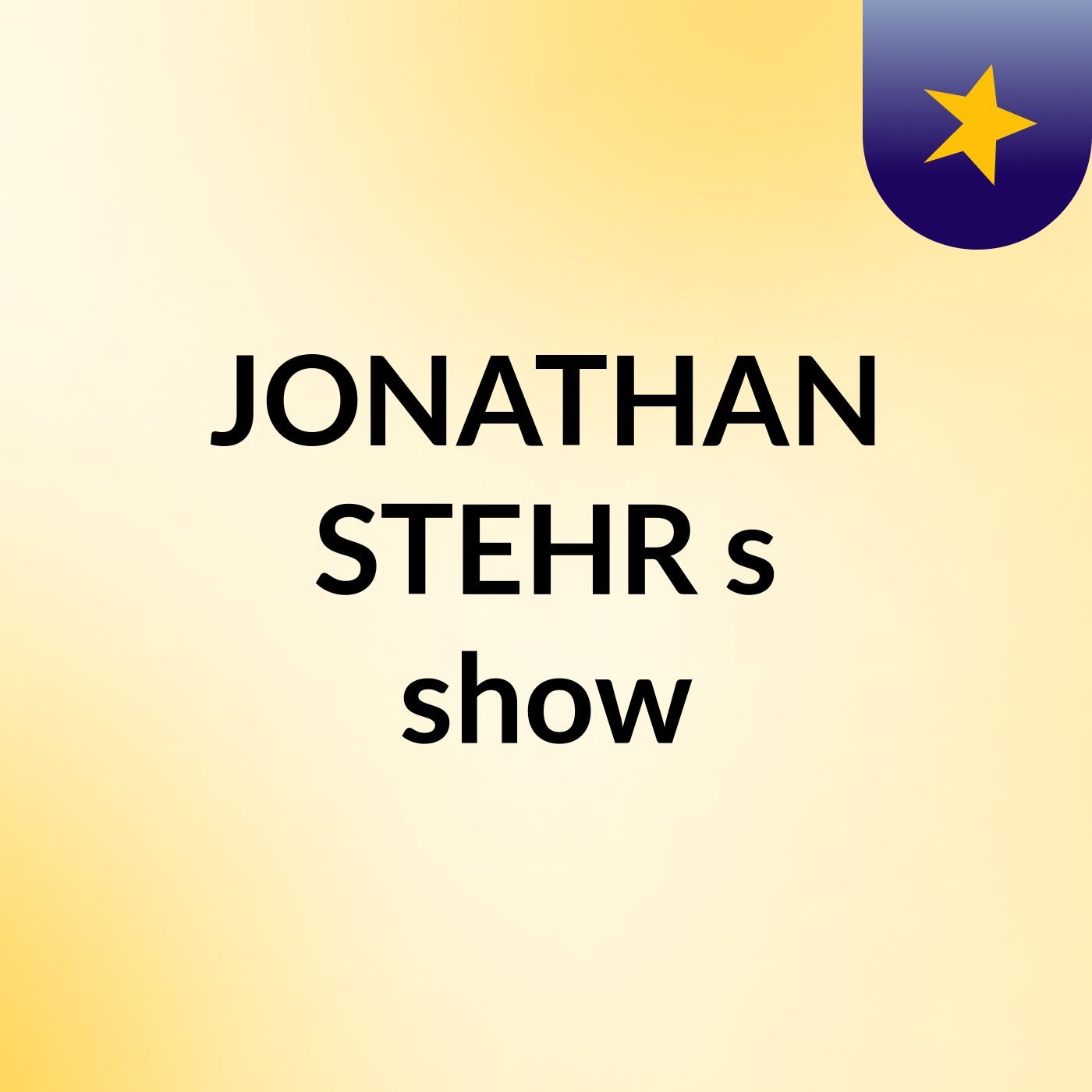 JONATHAN STEHR's show