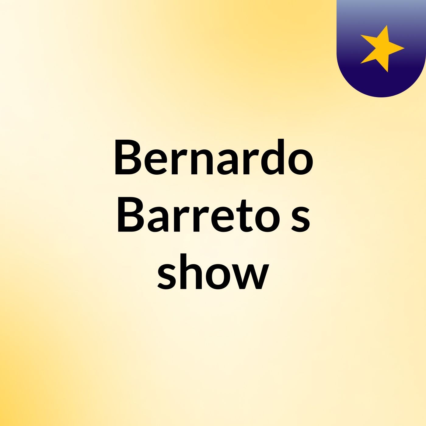 Bernardo Barreto's show