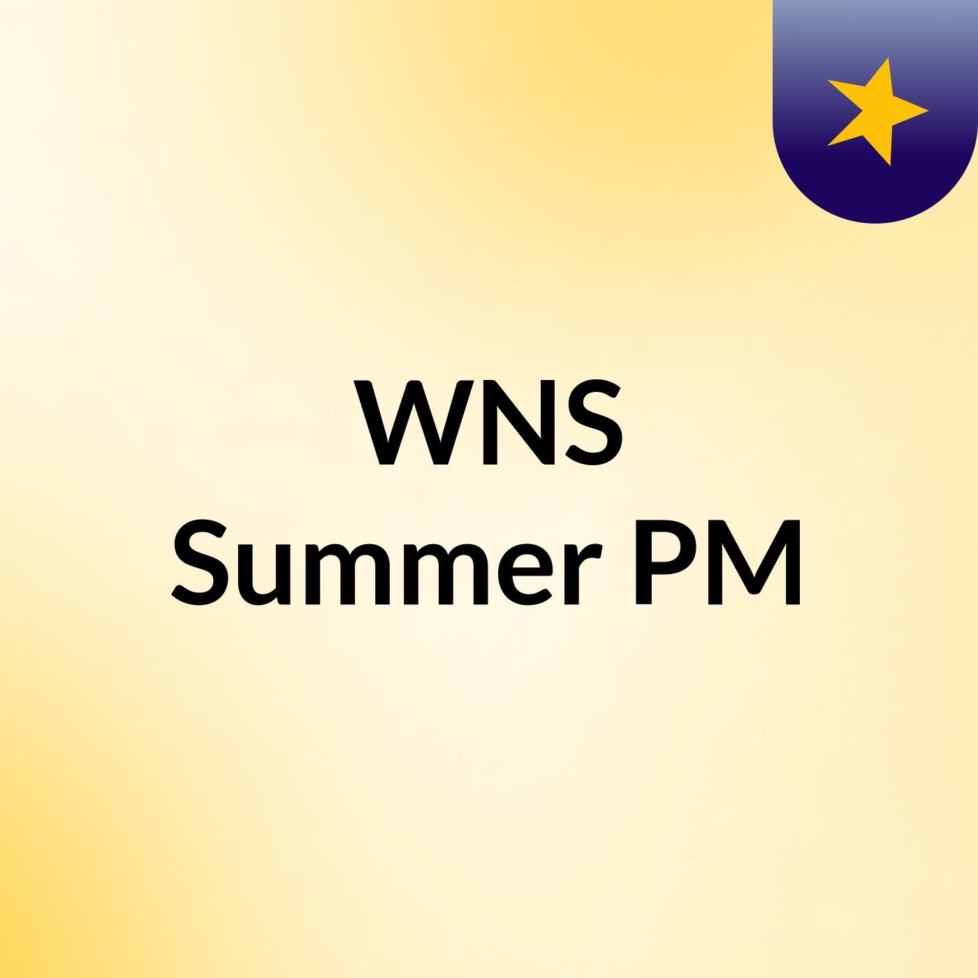 WNS Summer PM