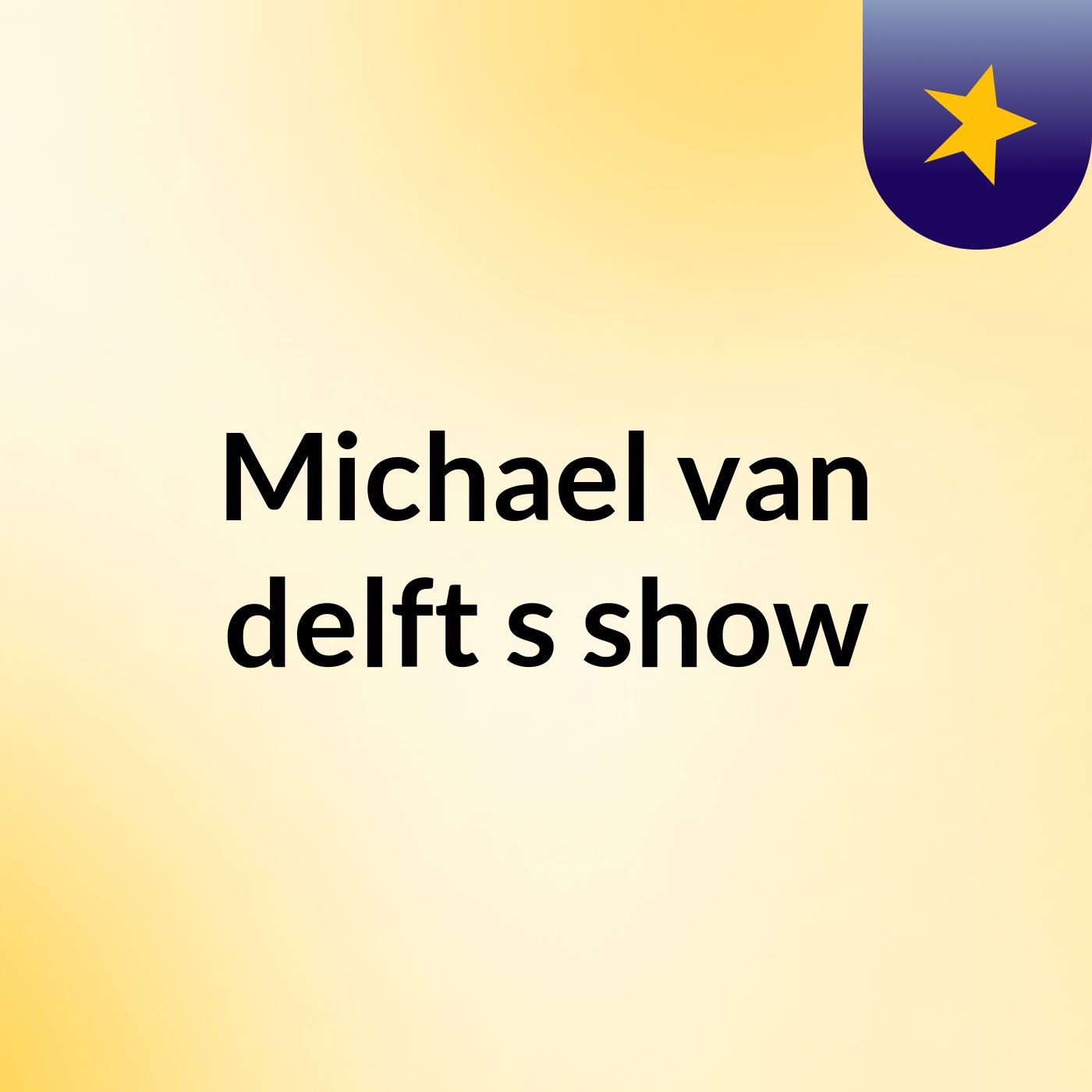Michael van delft's show