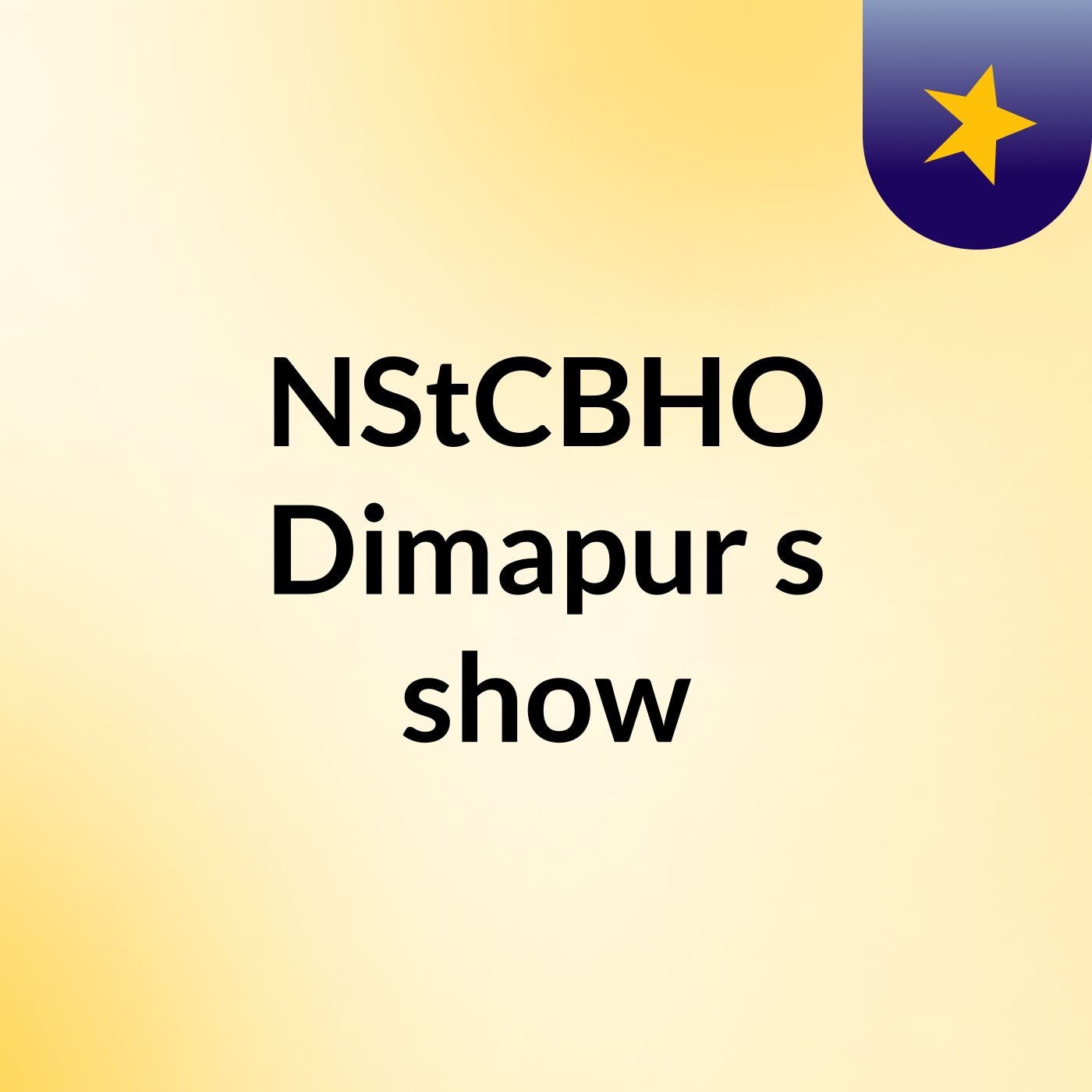 NStCBHO Dimapur's show