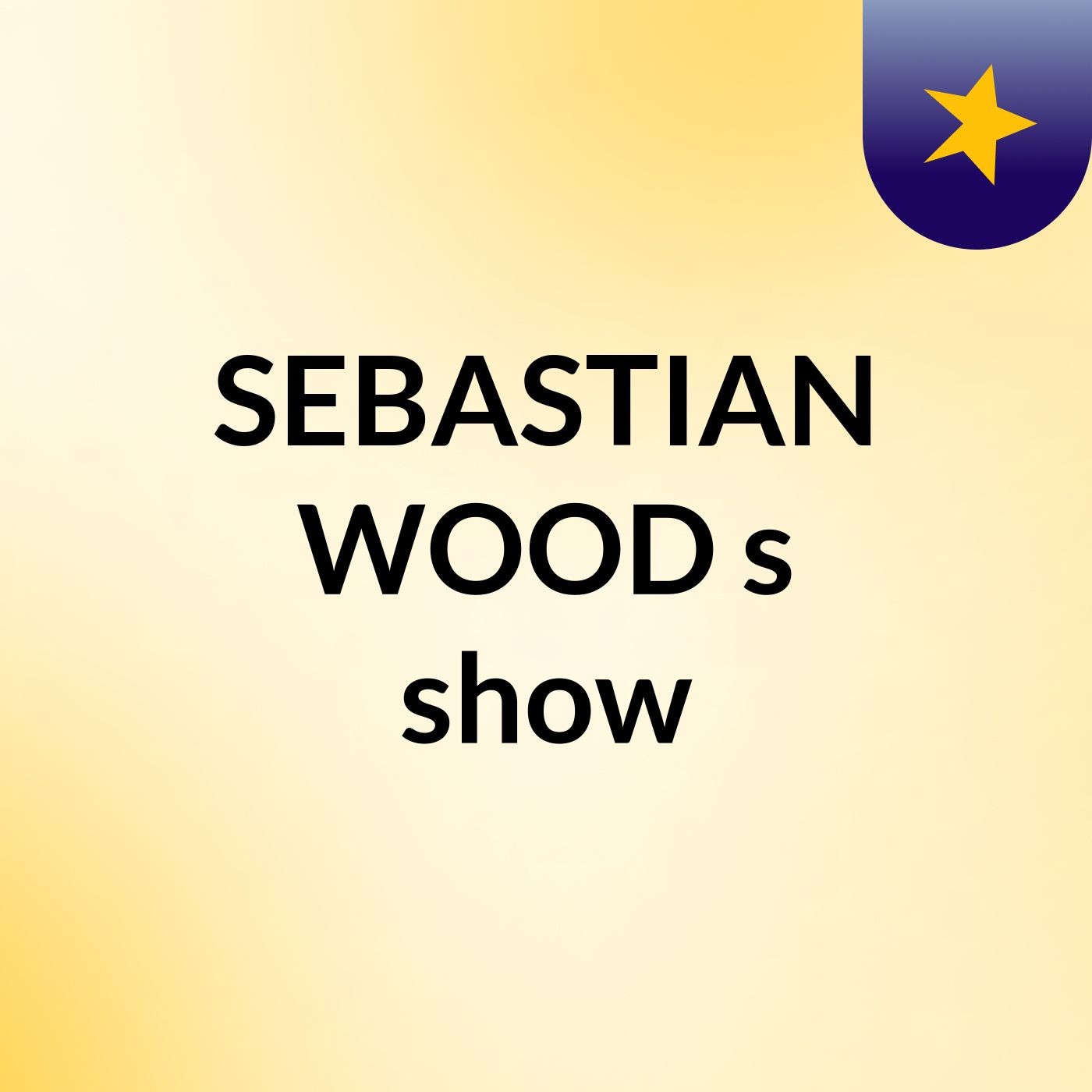 SEBASTIAN WOOD's show