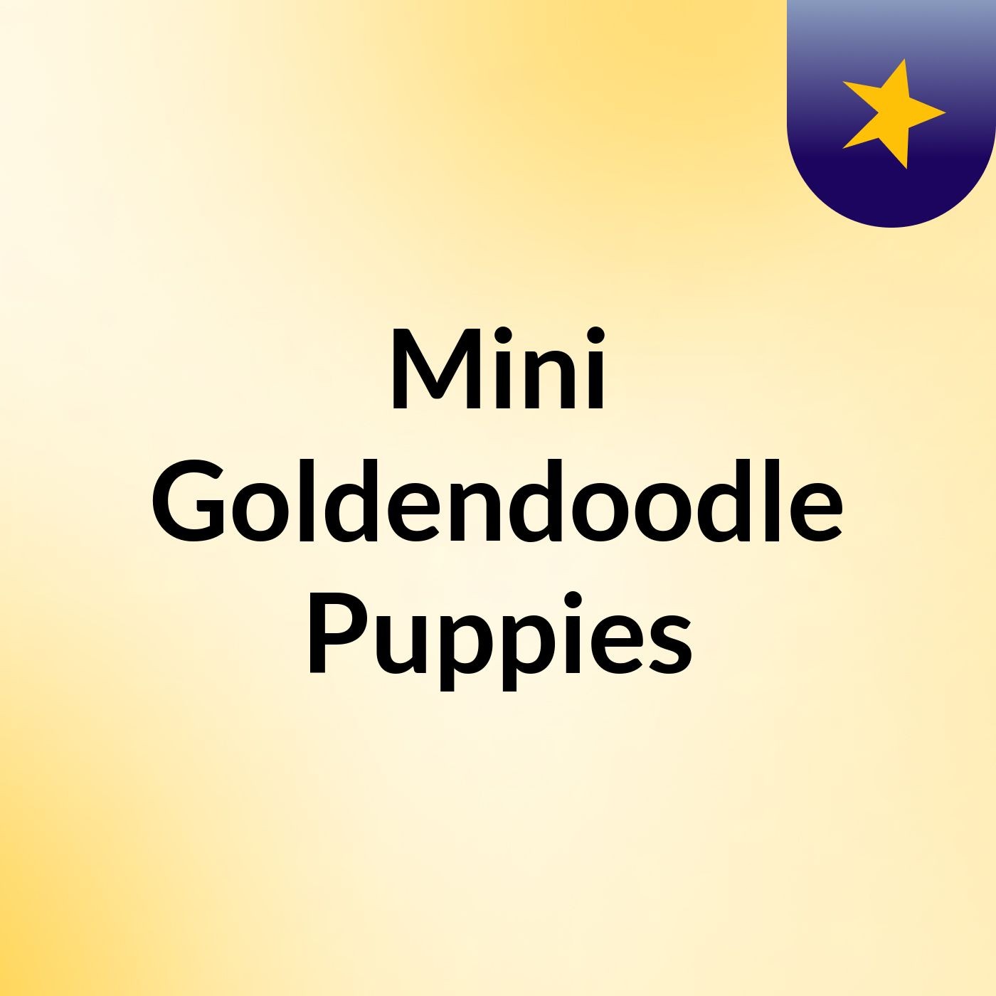 Mini Goldendoodle Puppies podcast artwork