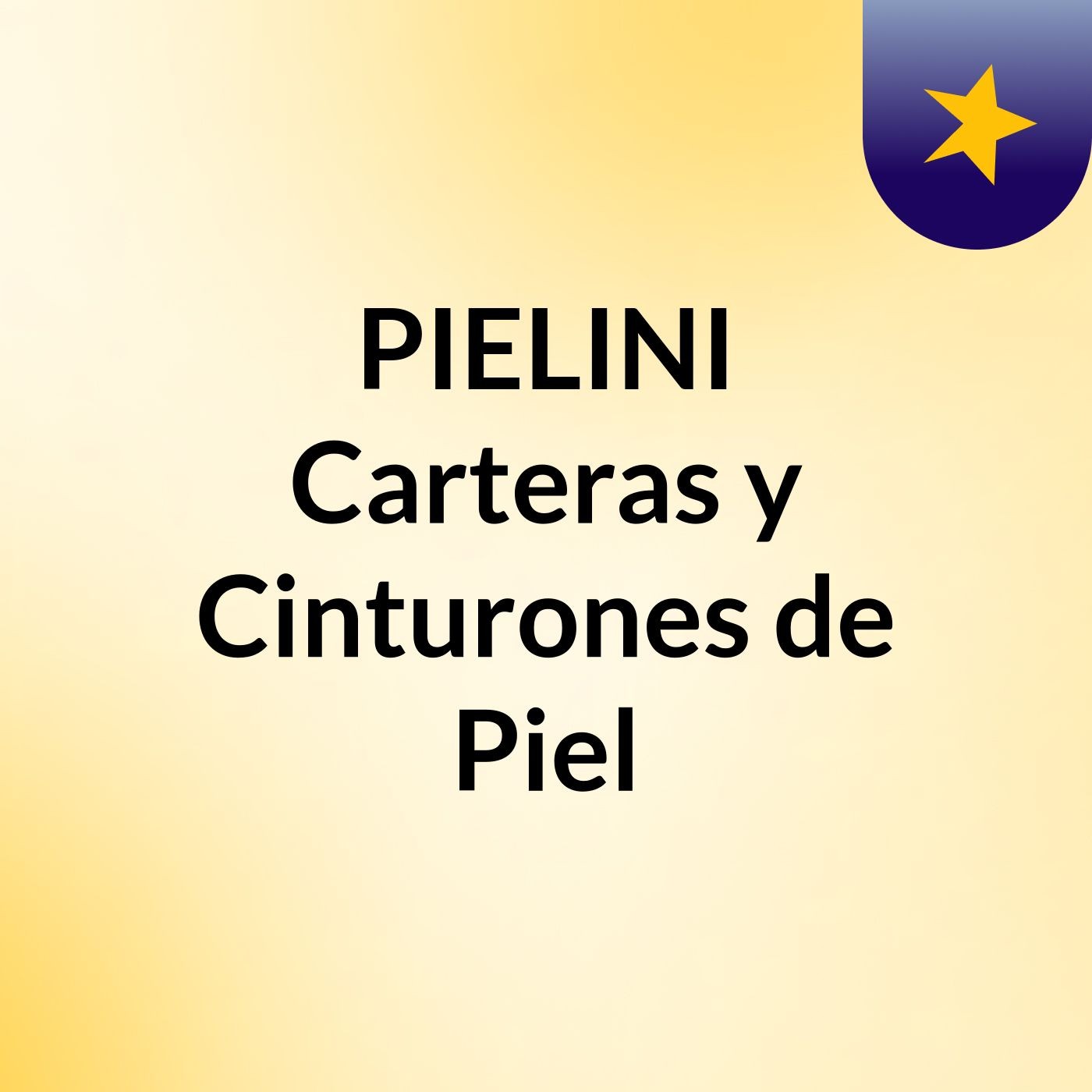 PIELINI Carteras y Cinturones de Piel