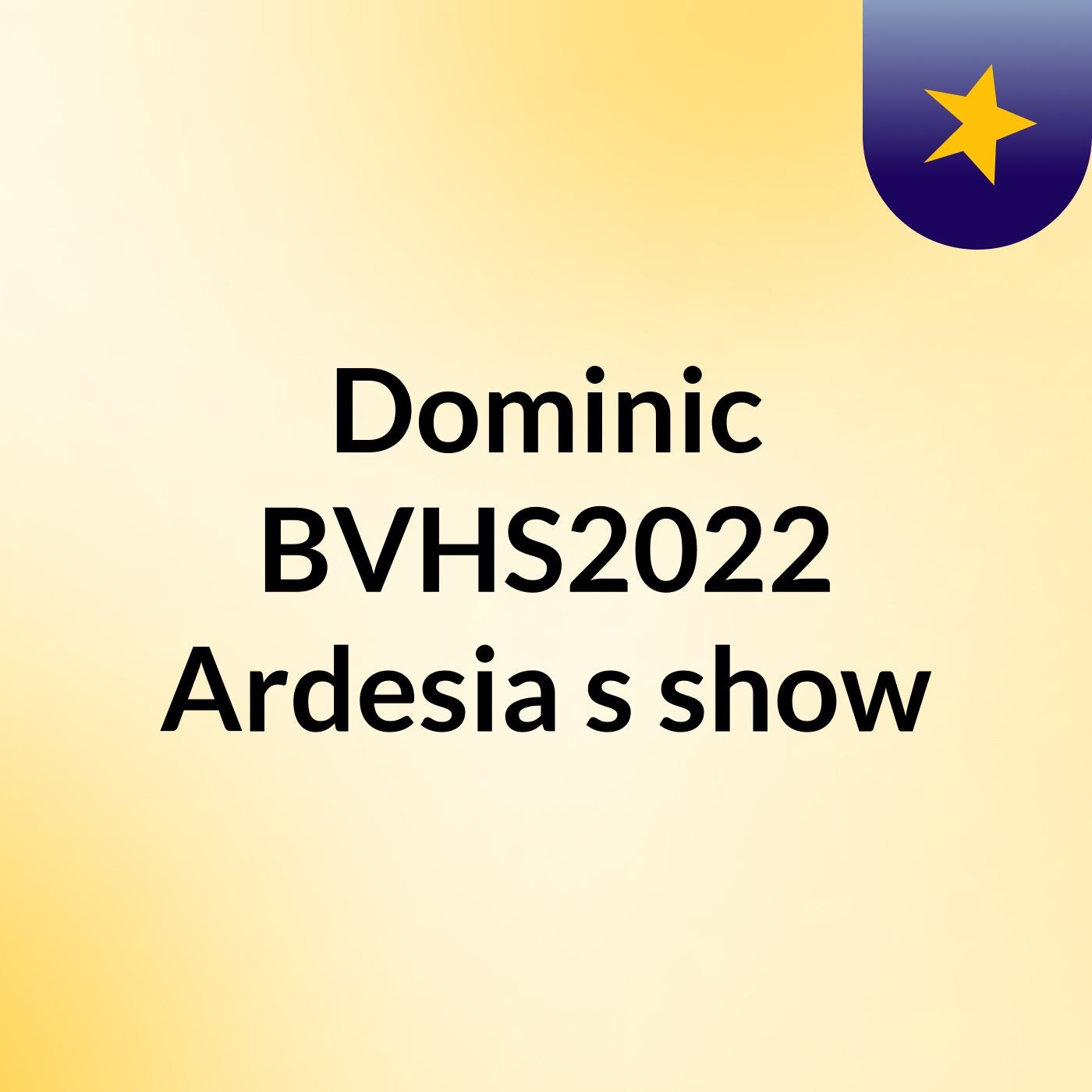 Dominic BVHS2022 Ardesia's show