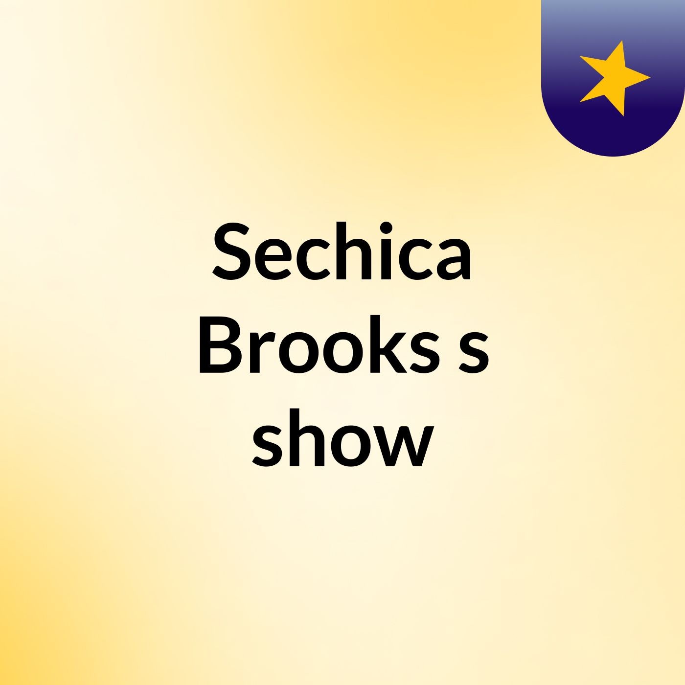 Sechica Brooks's show