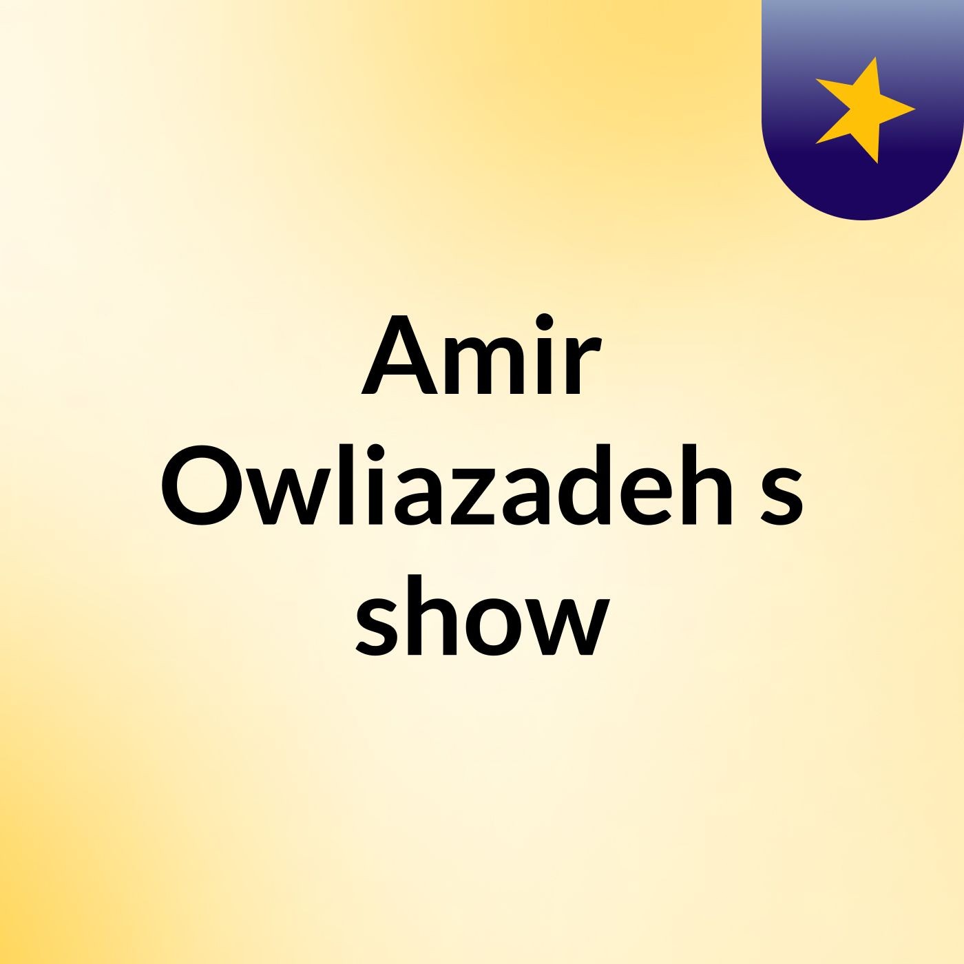 Amir Owliazadeh's show