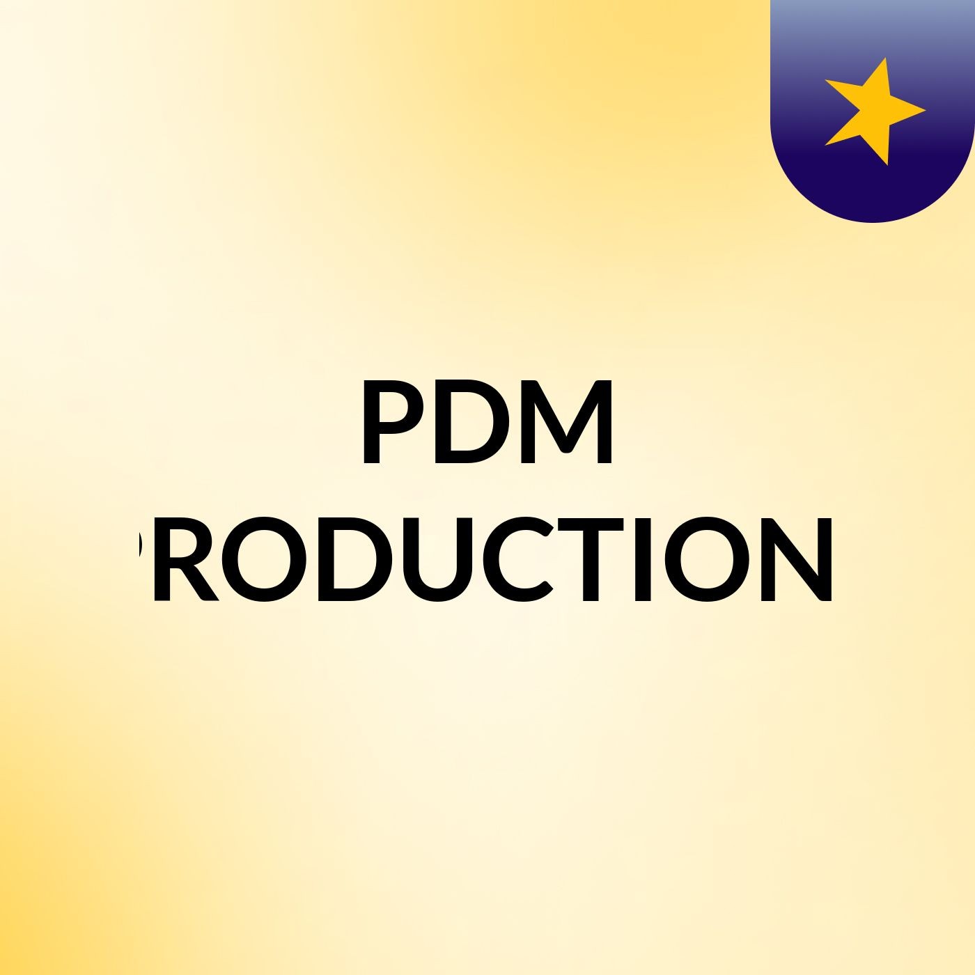 PDM PRODUCTIONS