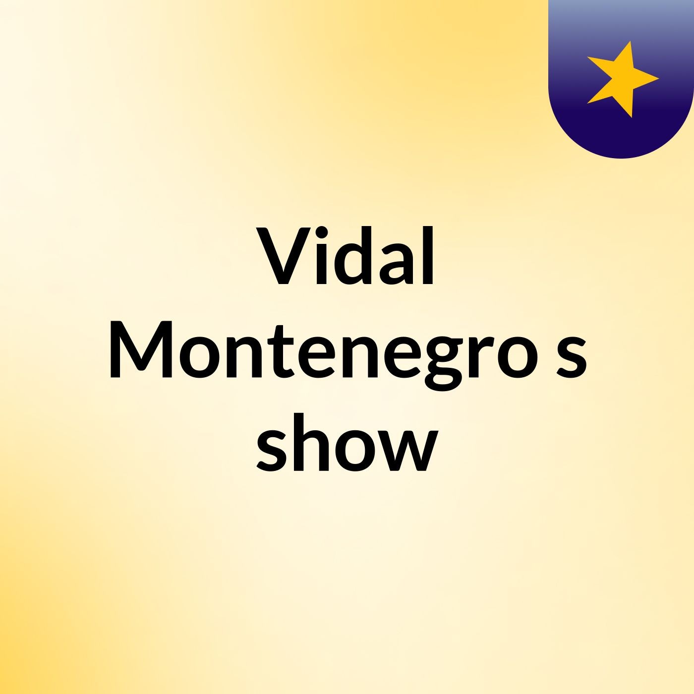 Vidal Montenegro's show