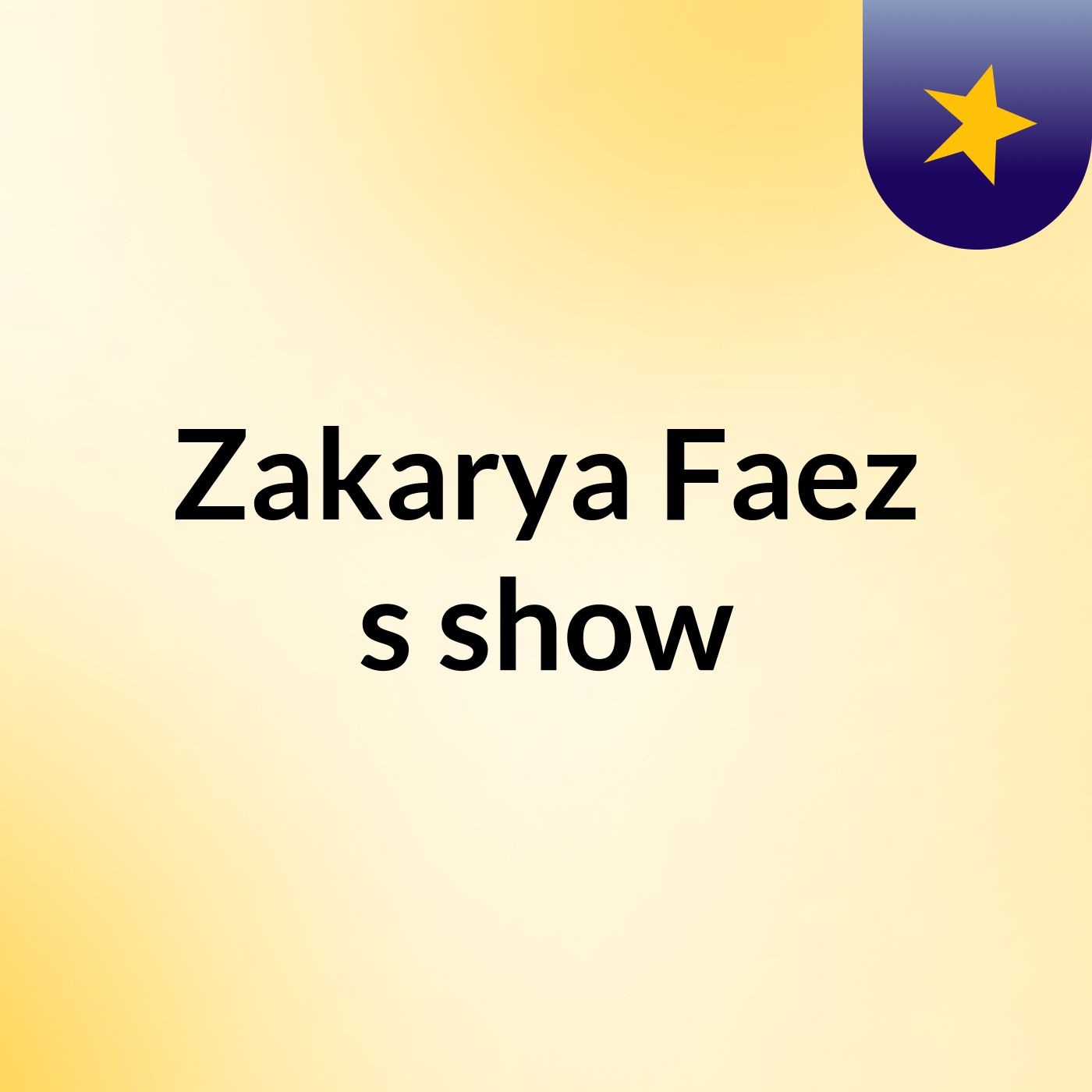 Zakarya Faez's show