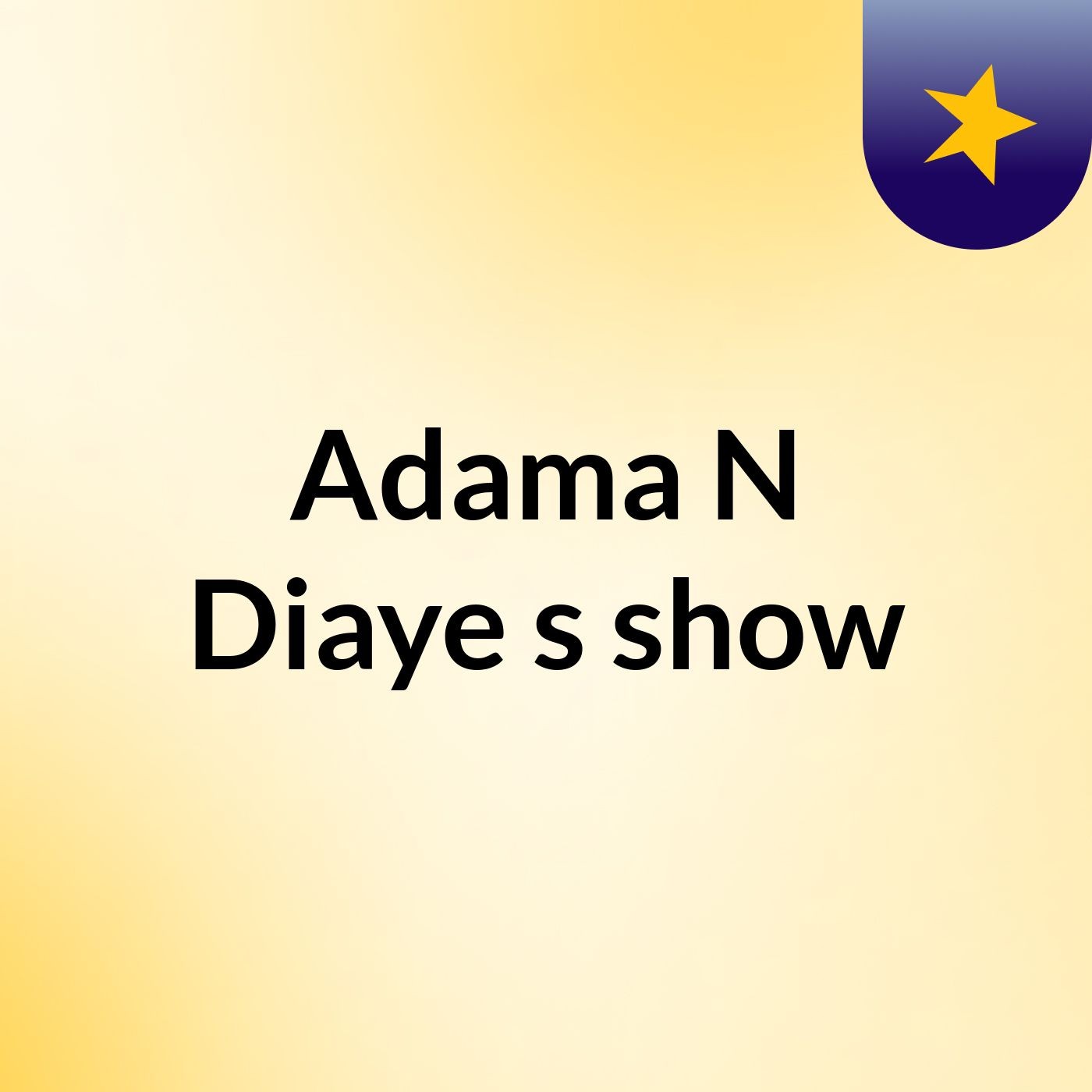 Adama N'Diaye's show