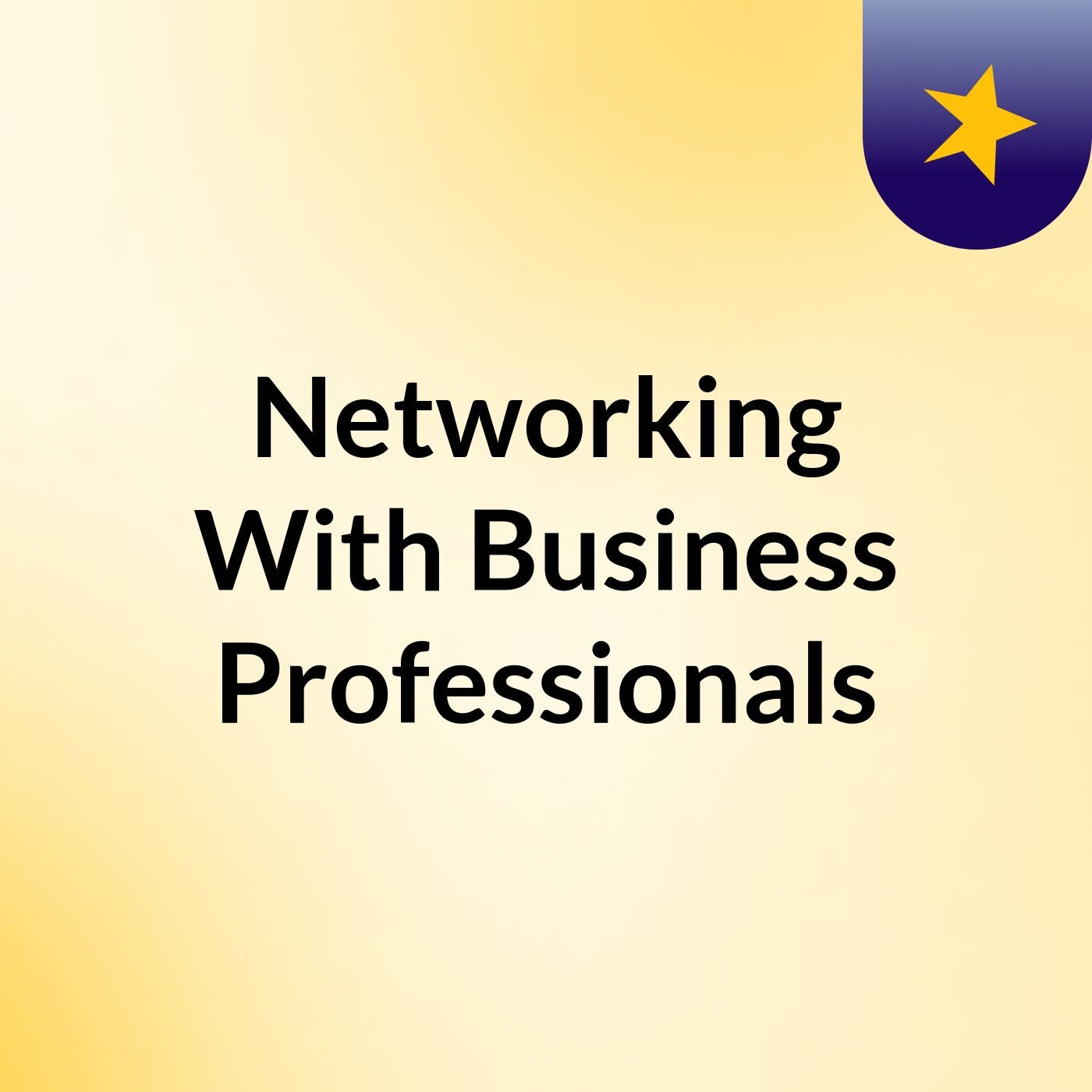 Networking With Business Professionals podcast artwork