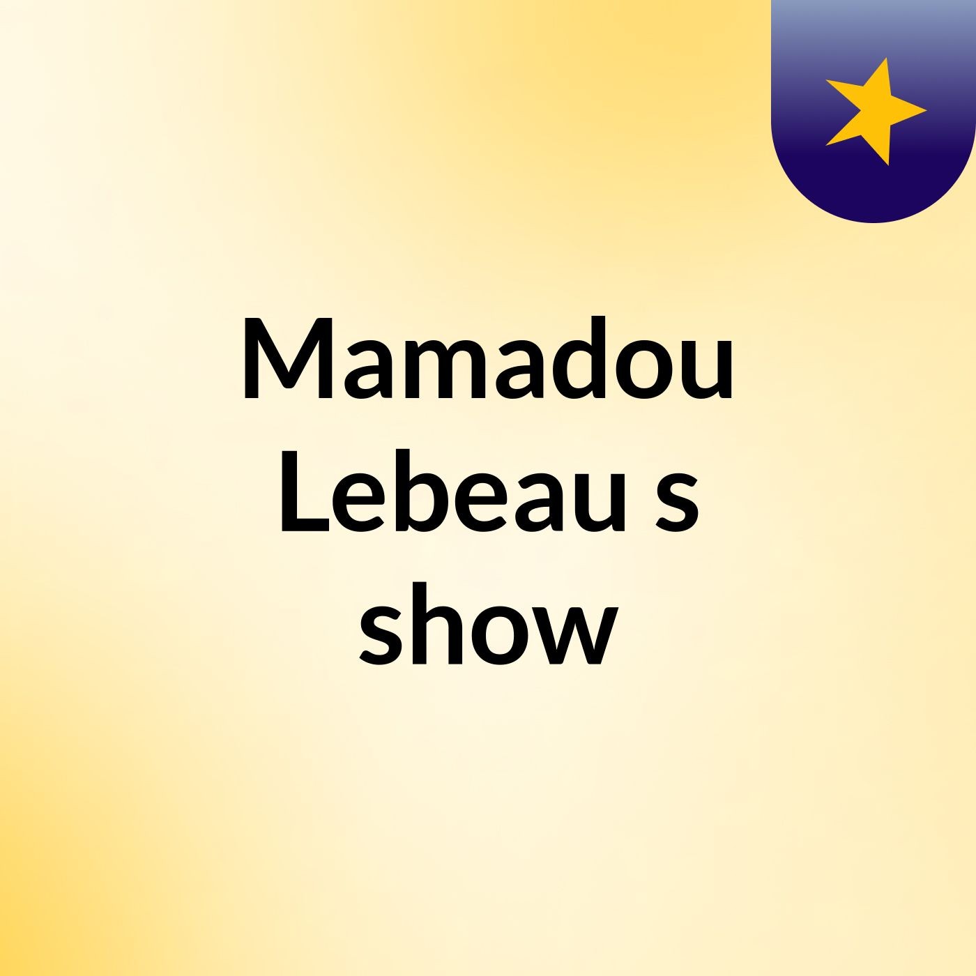 Mamadou Lebeau's show