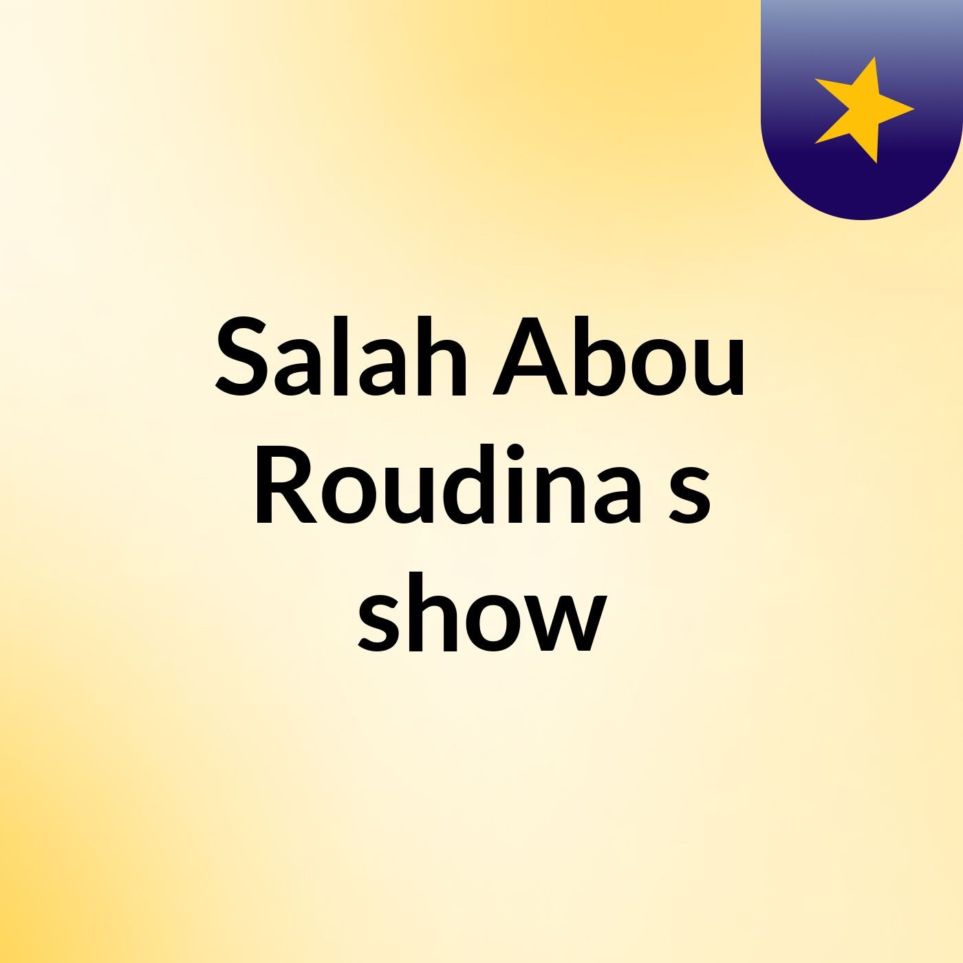 Salah Abou Roudina's show