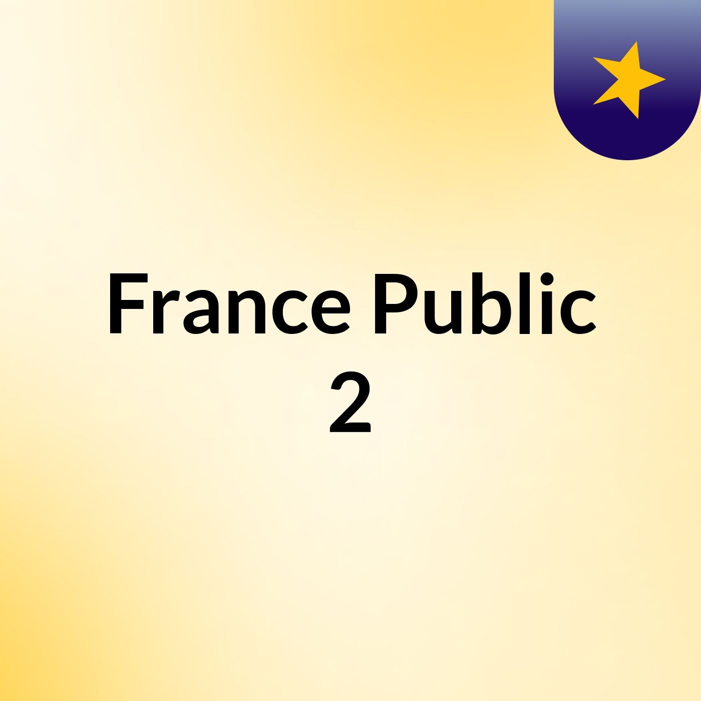 France Public  2