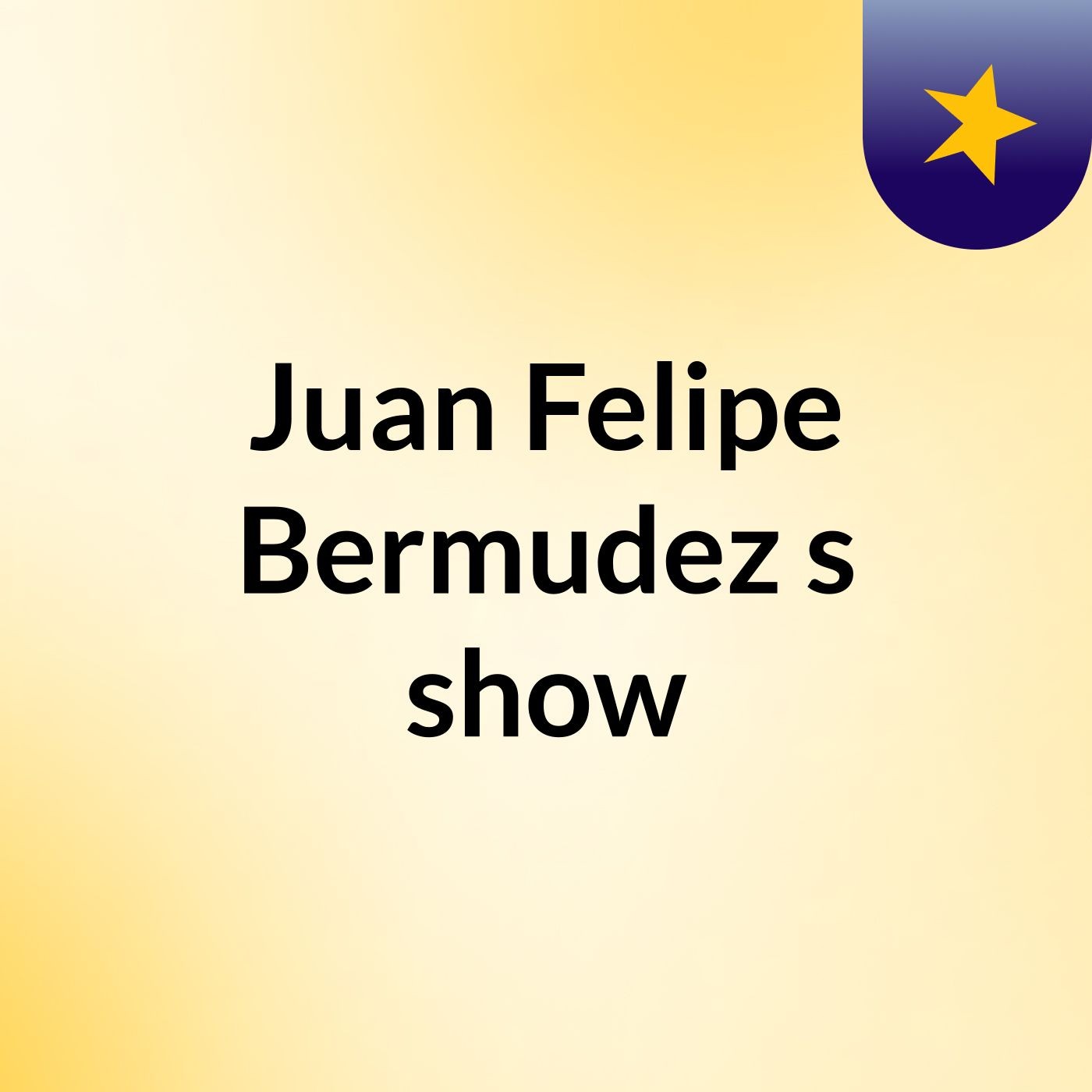 Juan Felipe Bermudez's show