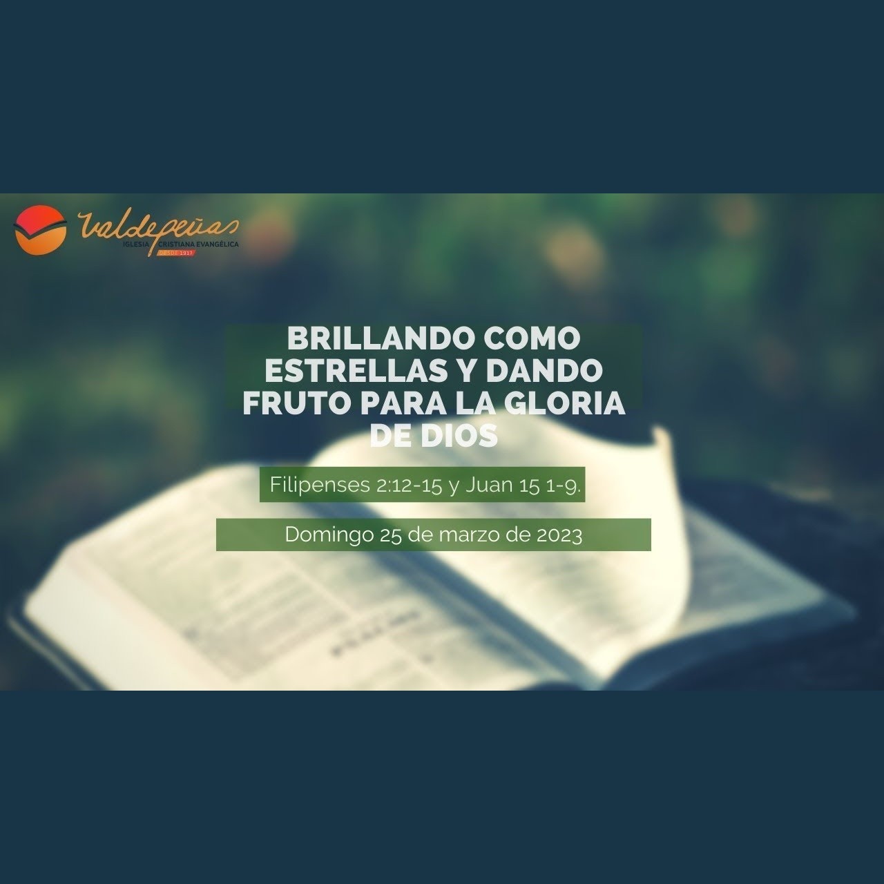 Portada de Brillando como estrellas