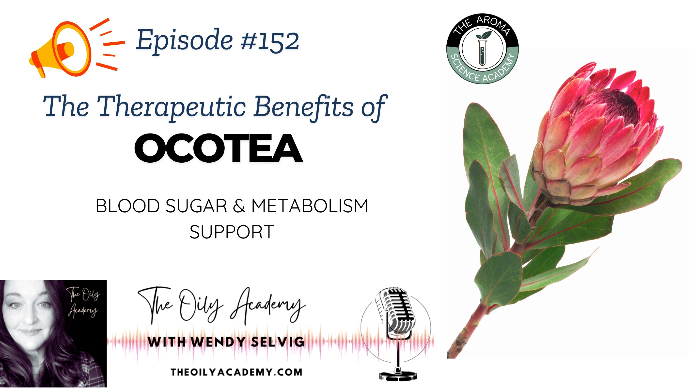 Check out Episode 152 - All About Ocotea Oil! Blood Sugar Balancing oil.