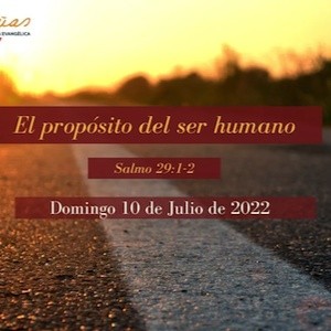 Portada de El propósito del ser humano